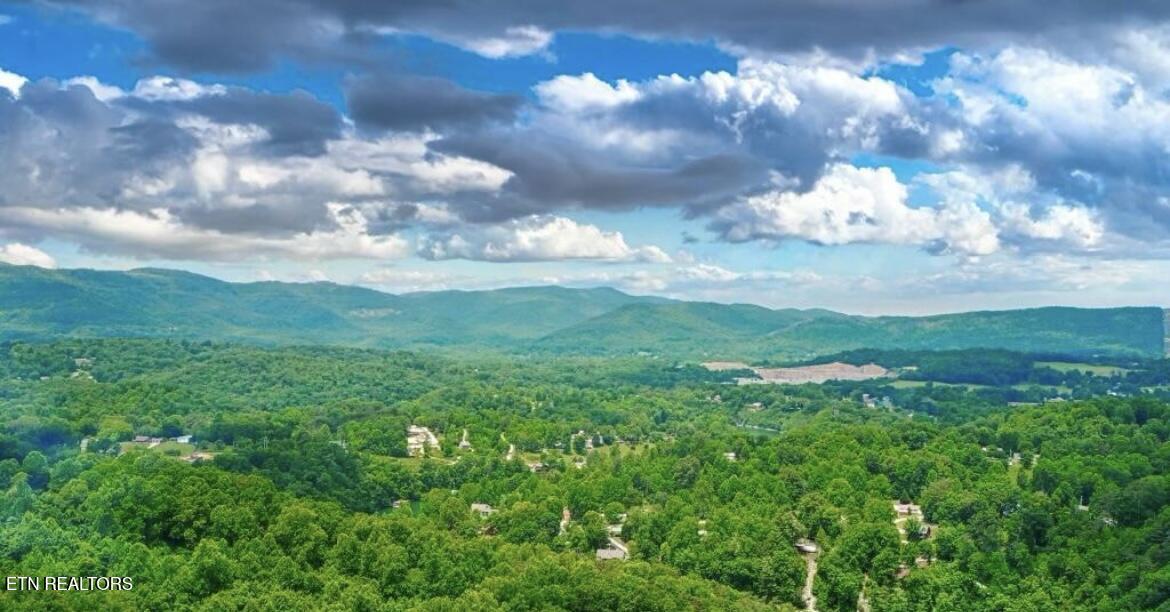 Norris Lake Real Estate - Image# 14