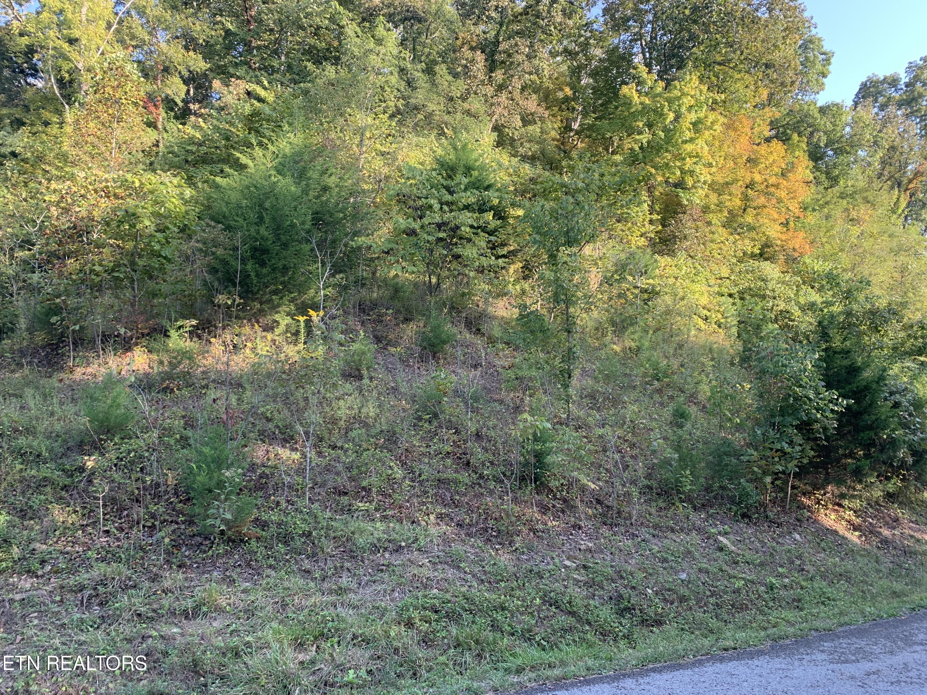 Norris Lake Real Estate - Image# 2