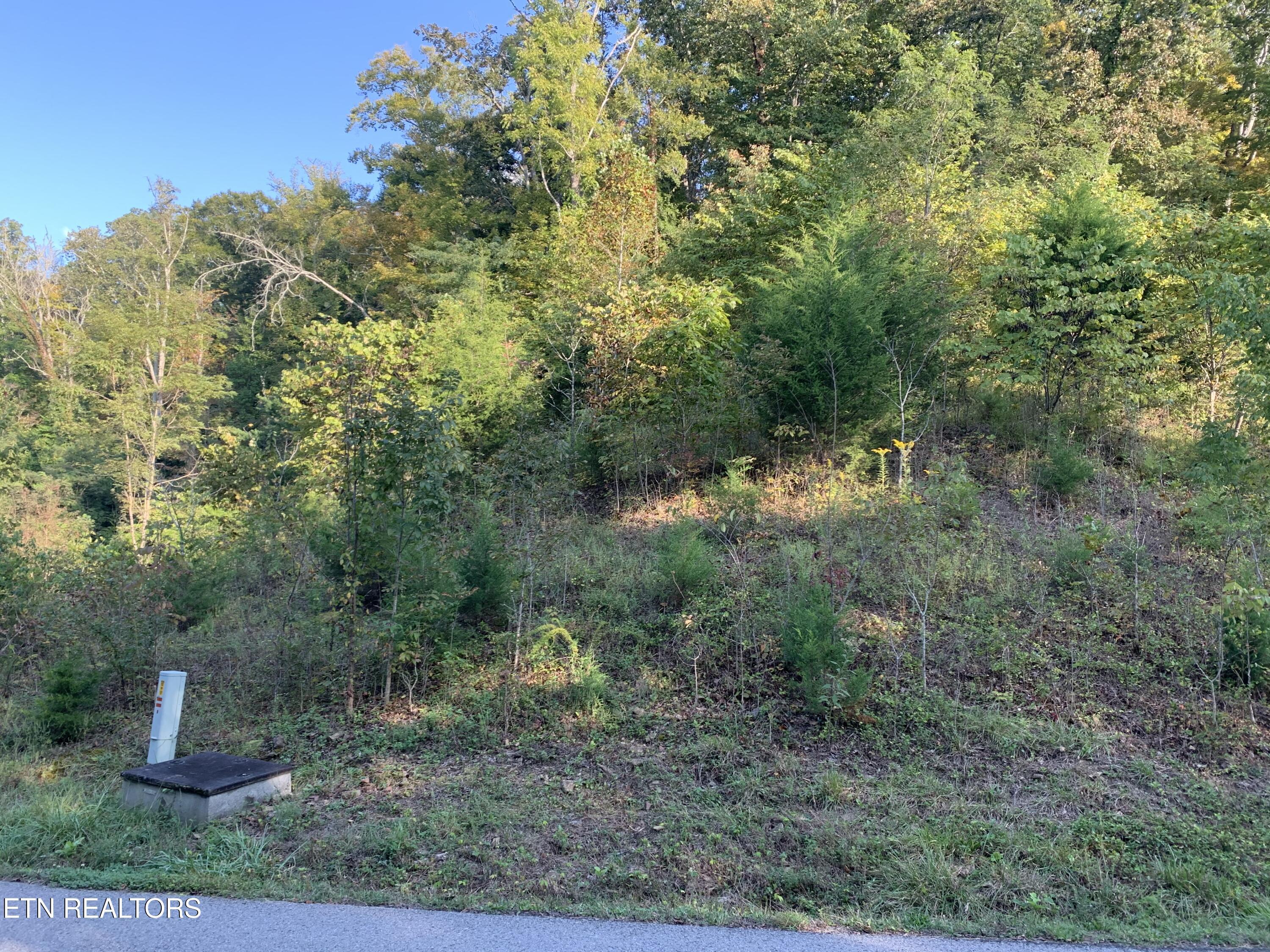 Norris Lake Real Estate - Image# 1