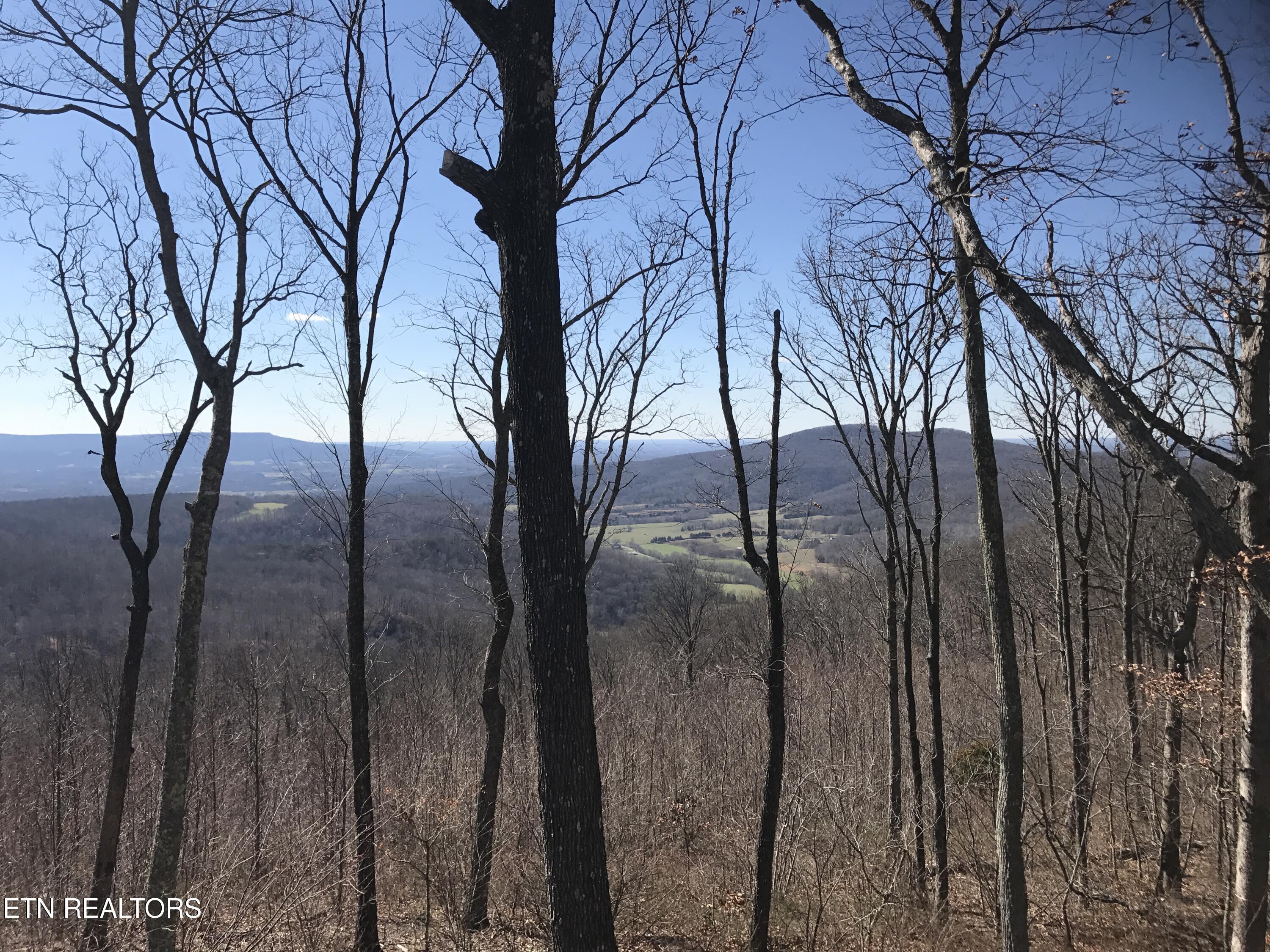 Norris Lake Real Estate - Image# 3