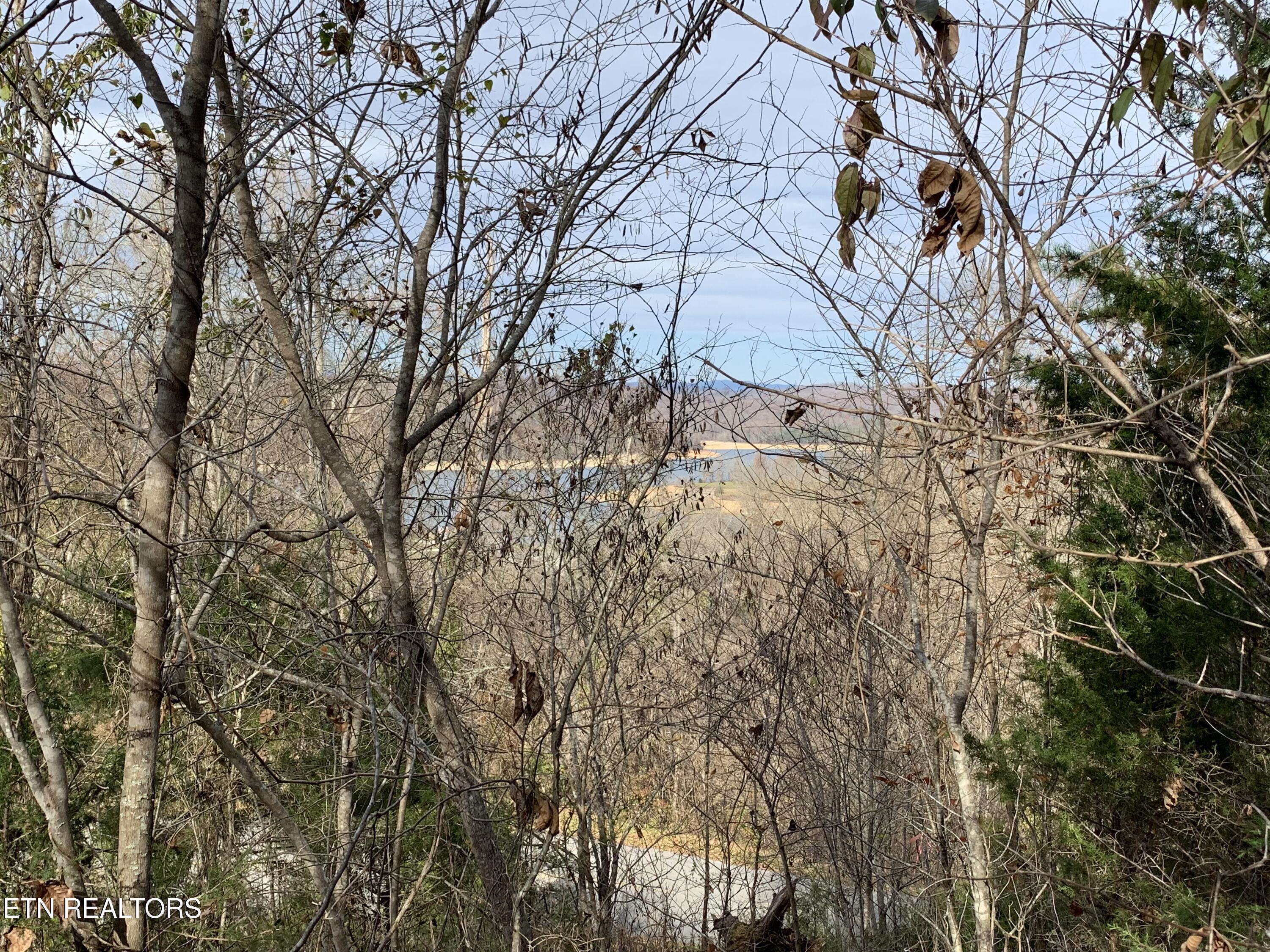 Norris Lake Real Estate - Image# 5