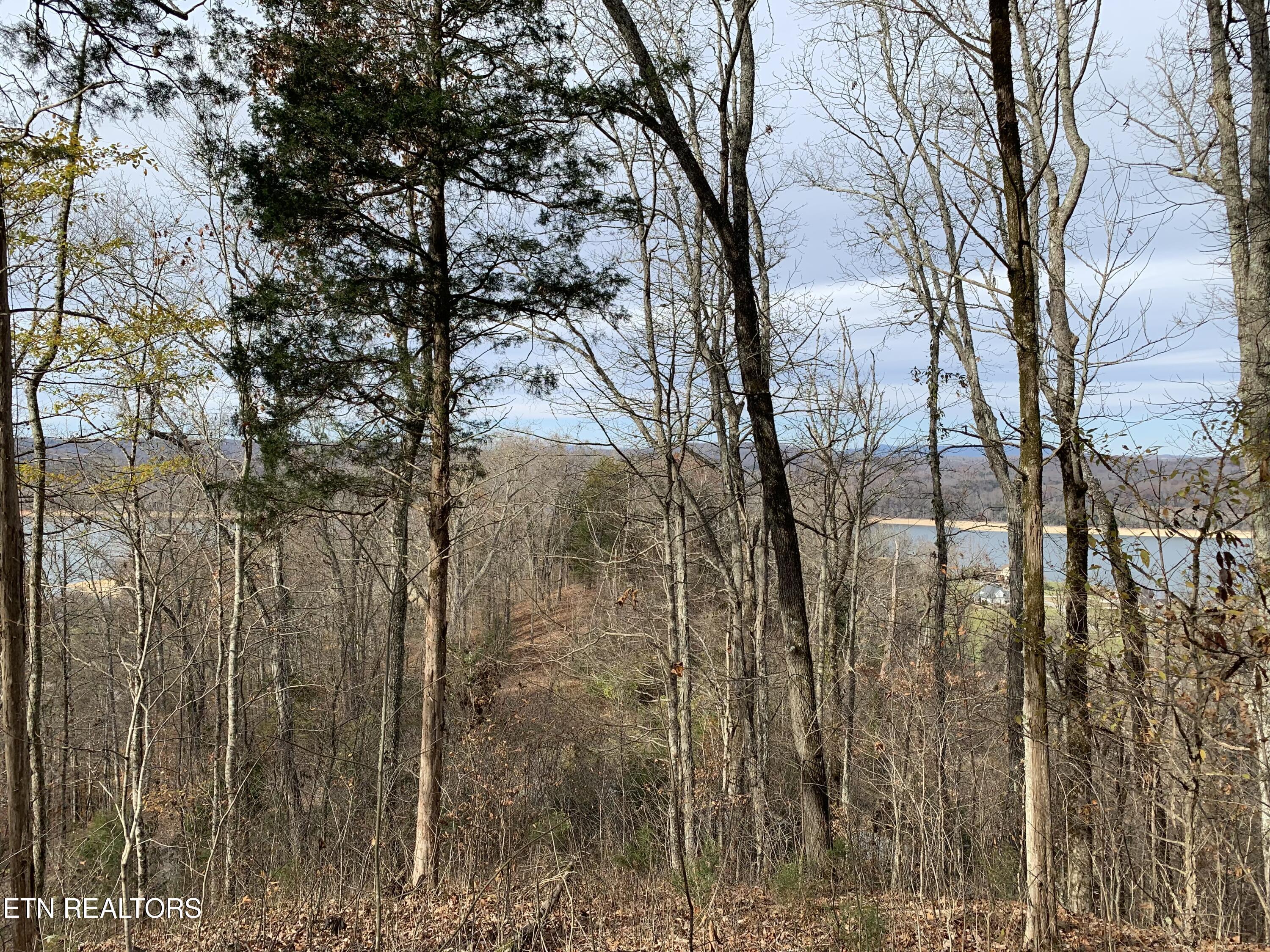 Norris Lake Real Estate - Image# 6