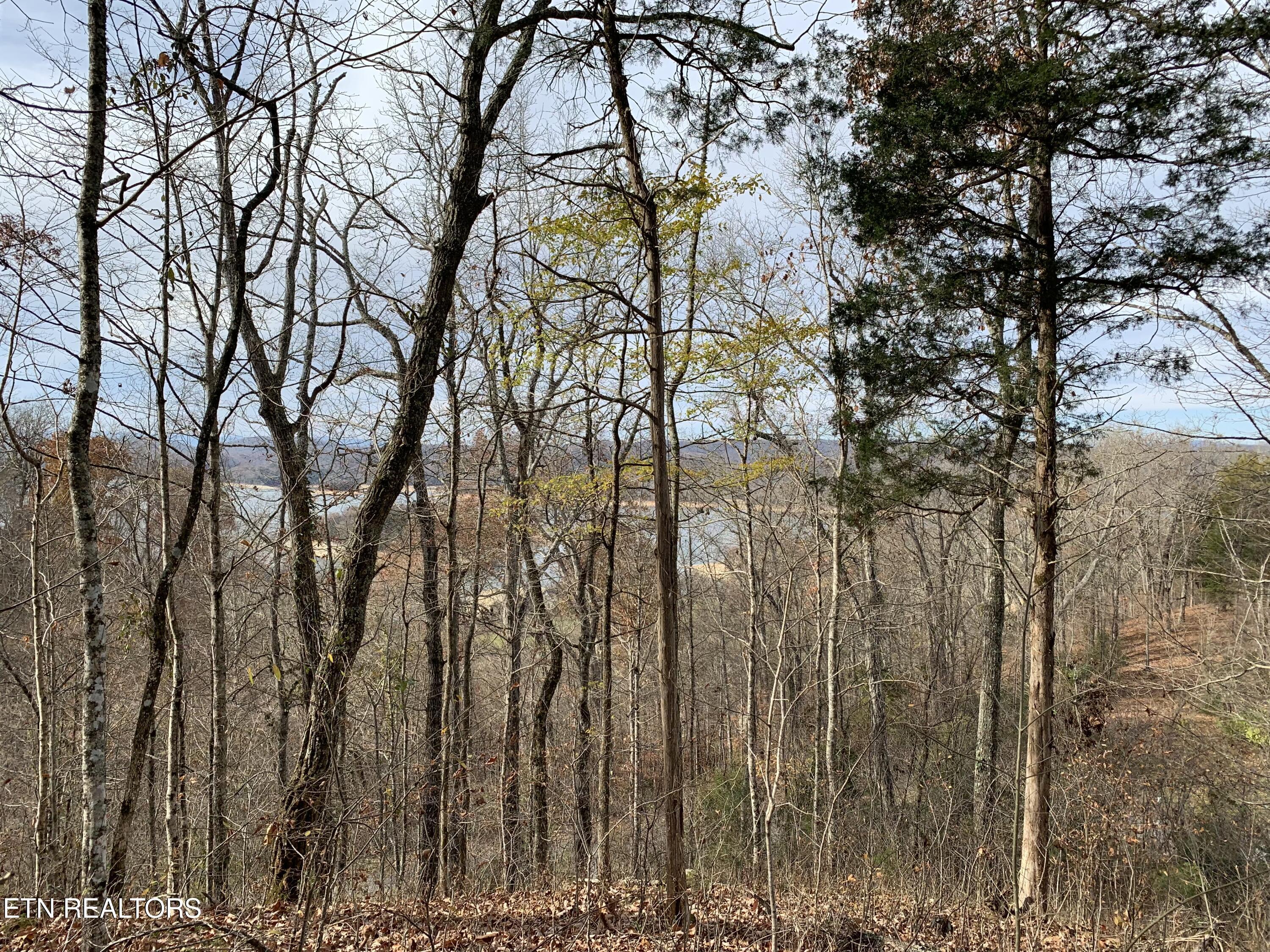 Norris Lake Real Estate - Image# 7