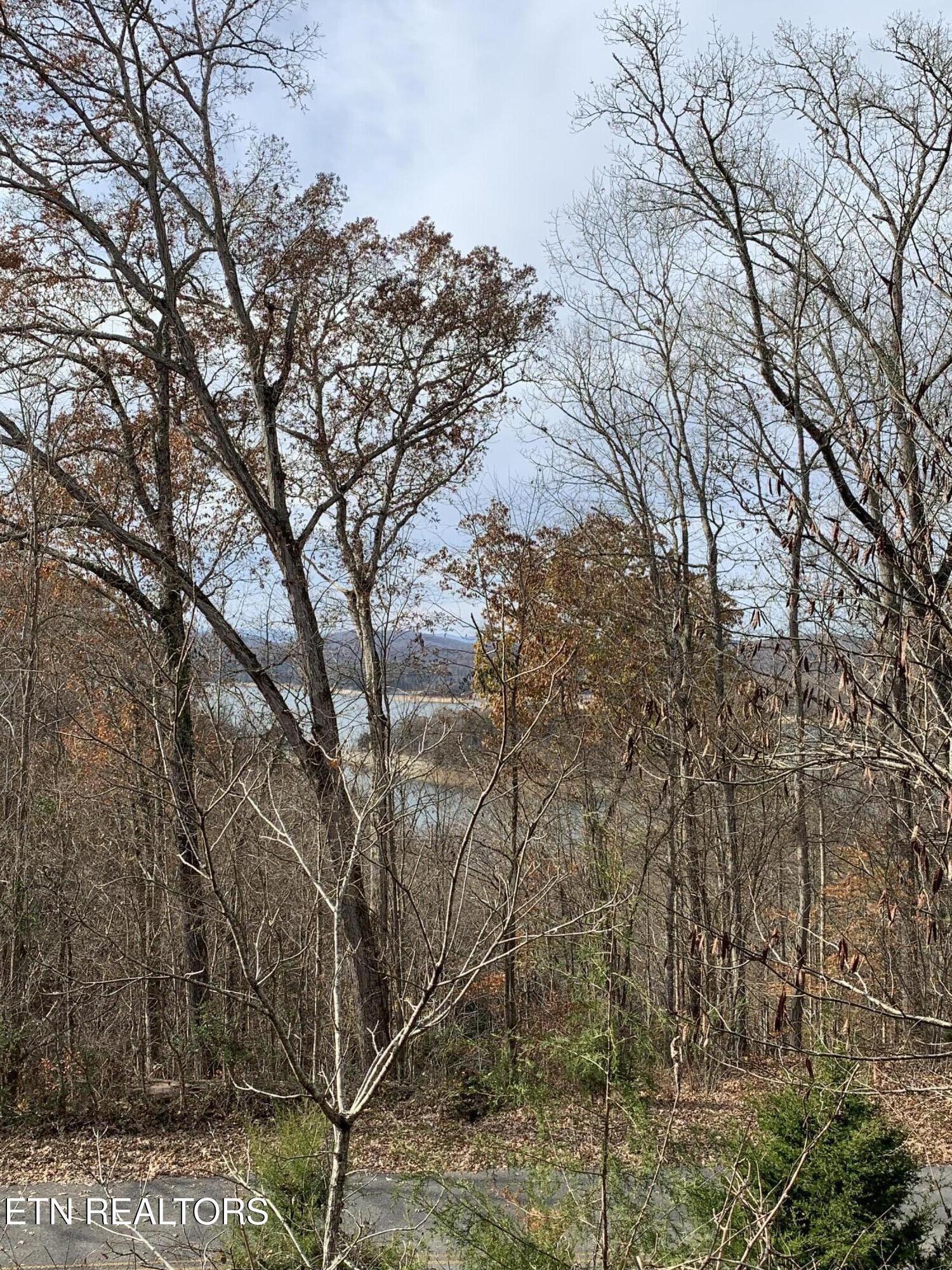 Norris Lake Real Estate - Image# 4