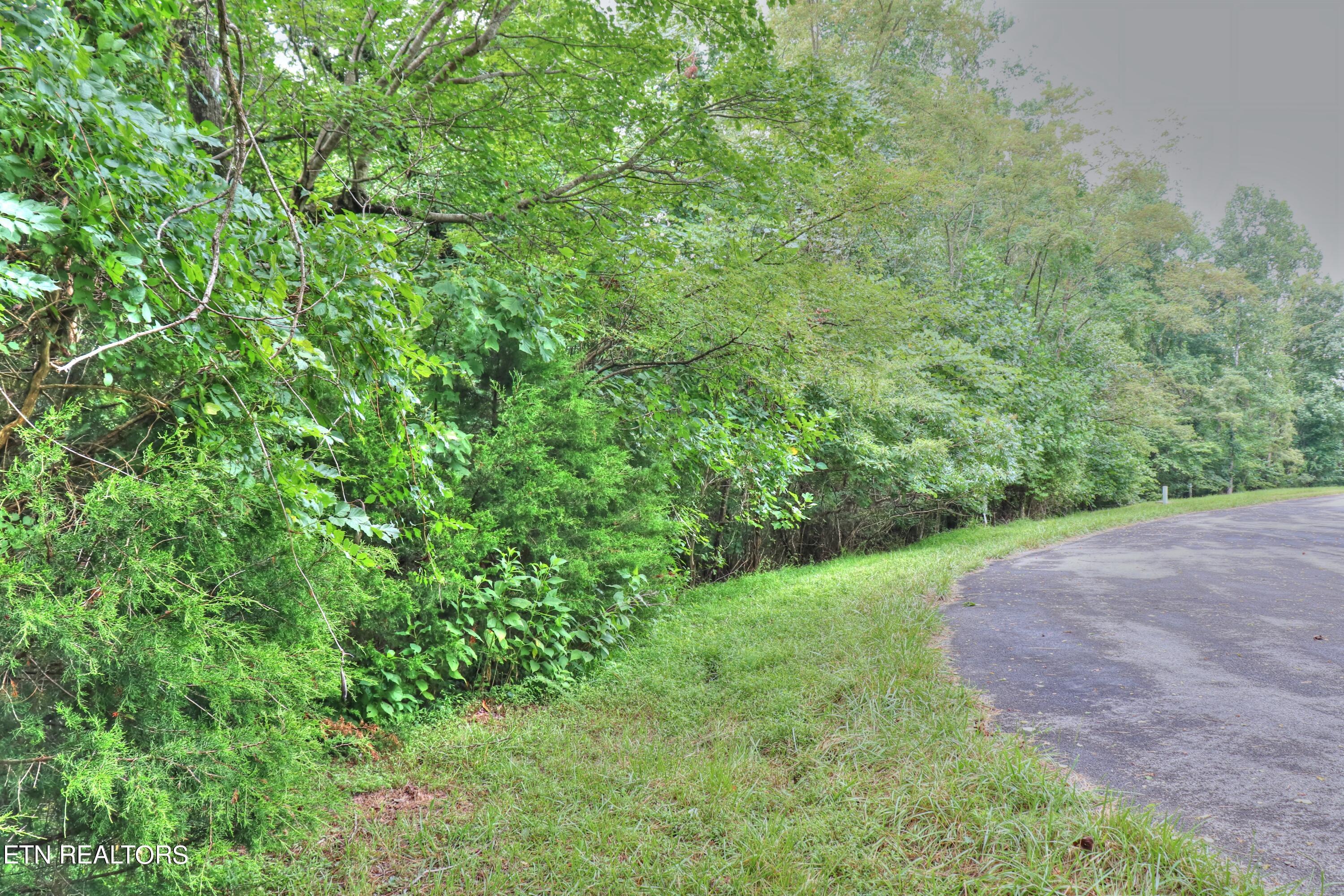Norris Lake Real Estate - Image# 1