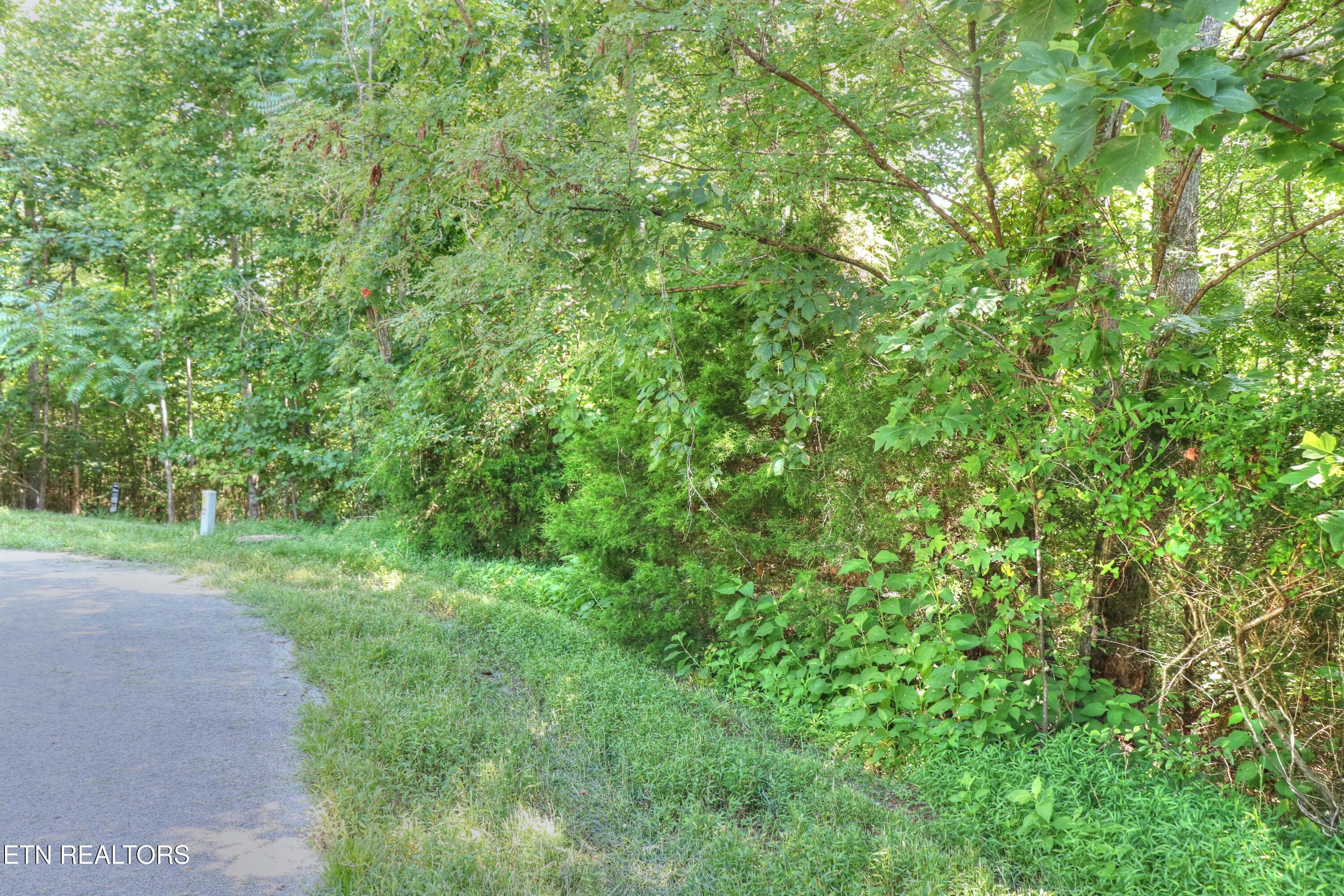 Norris Lake Real Estate - Image# 2