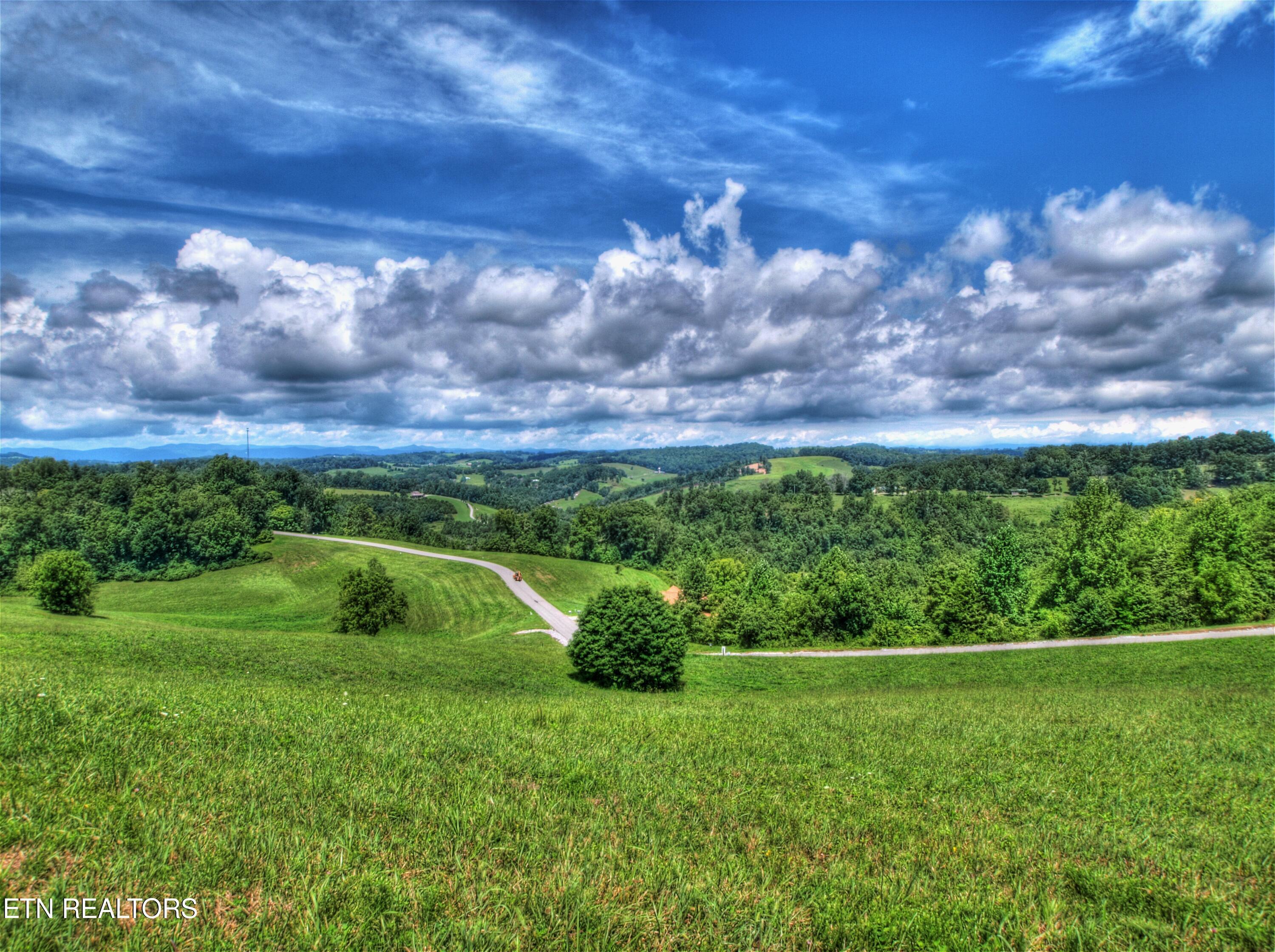 Norris Lake Real Estate - Image# 10