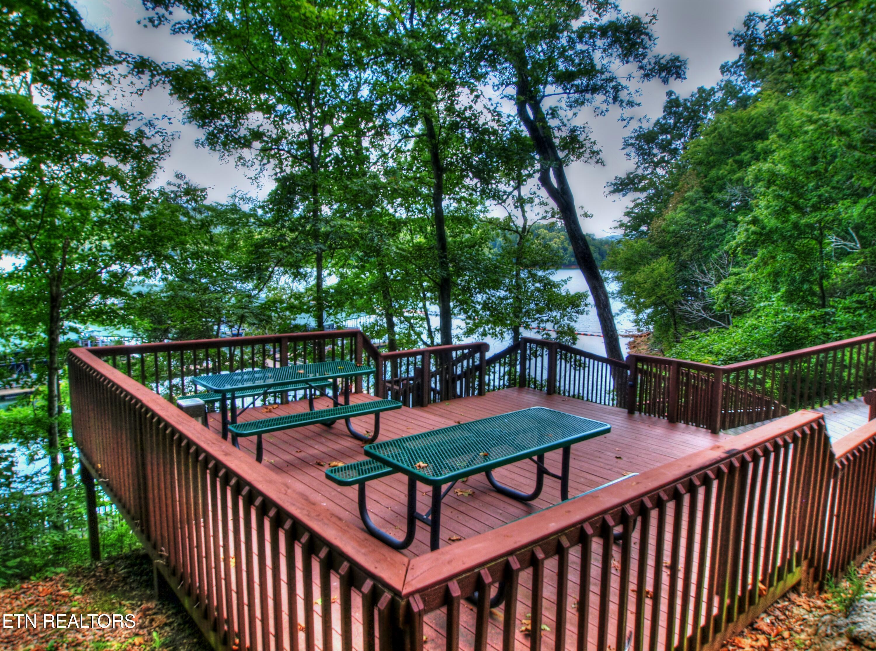 Norris Lake Real Estate - Image# 16