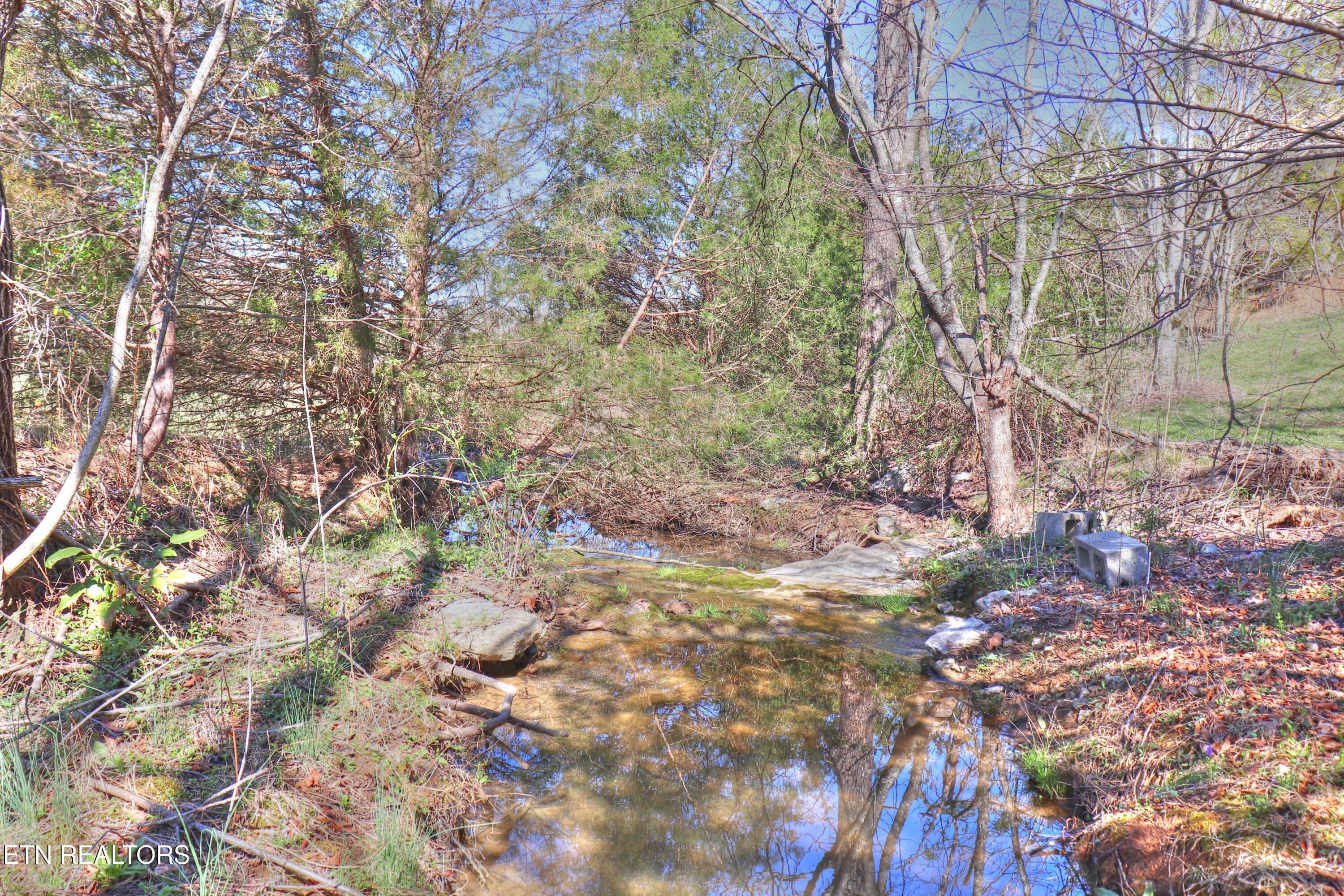 Norris Lake Real Estate - Image# 6