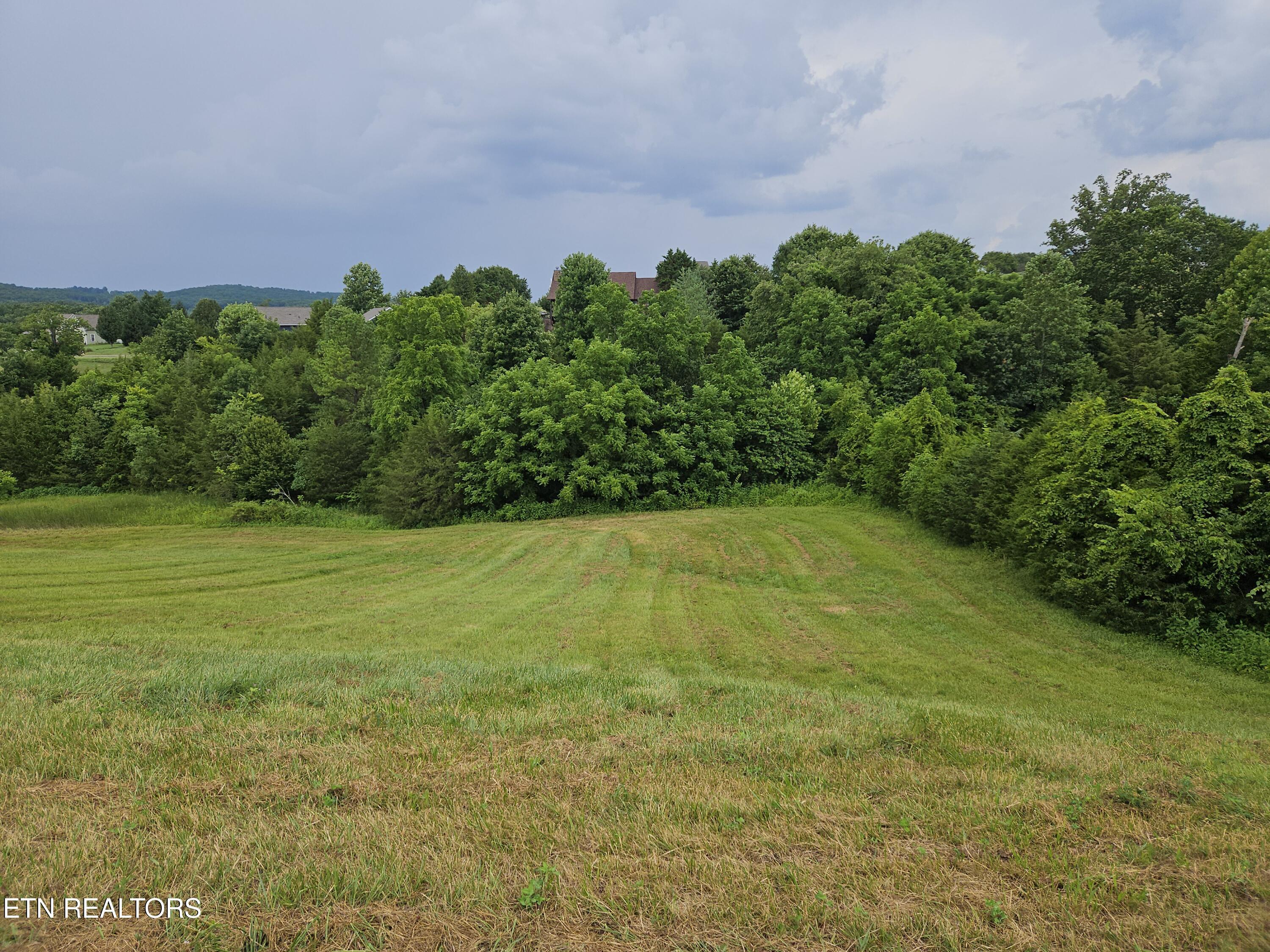 Norris Lake Real Estate - Image# 1