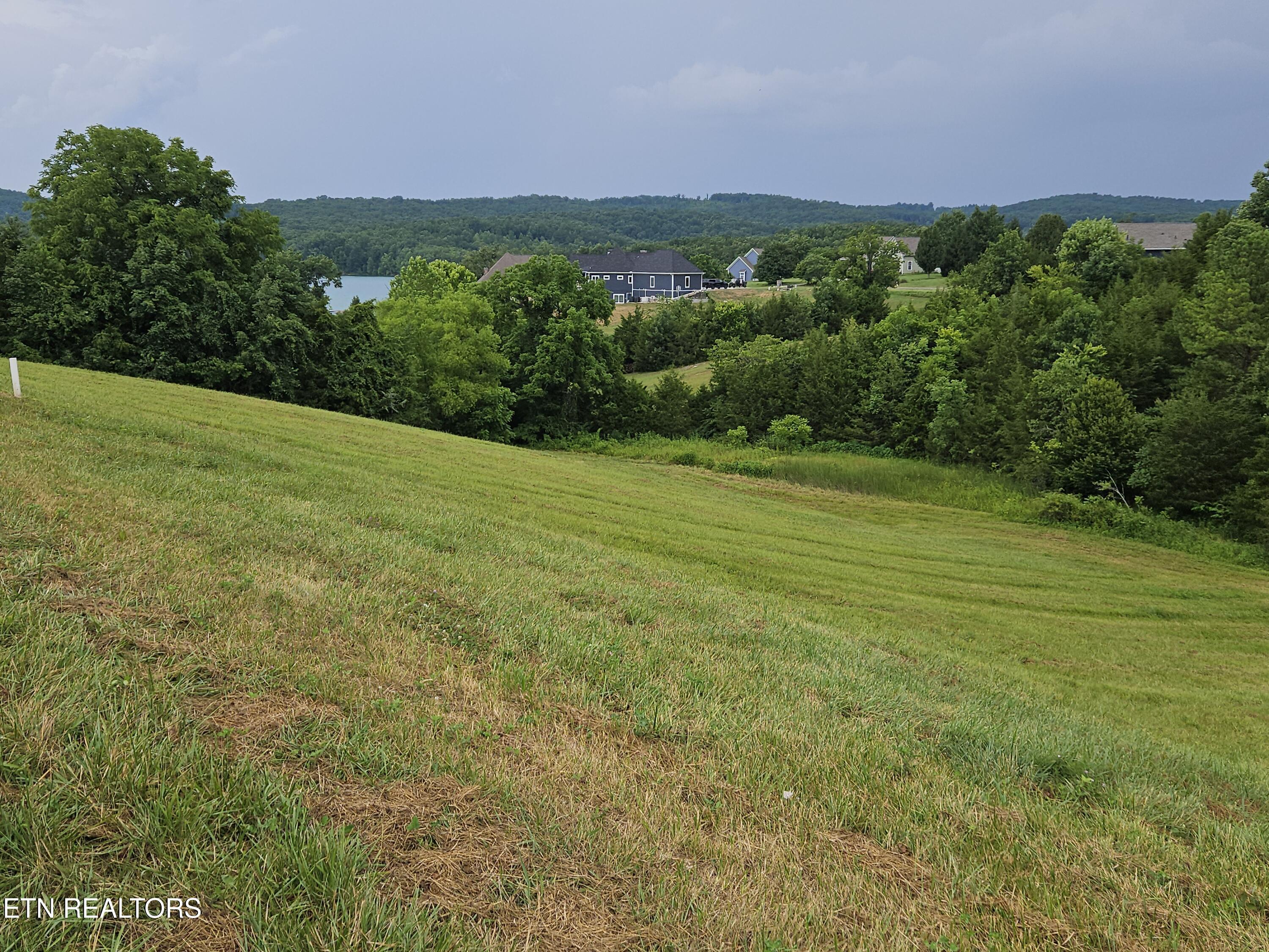 Norris Lake Real Estate - Image# 2