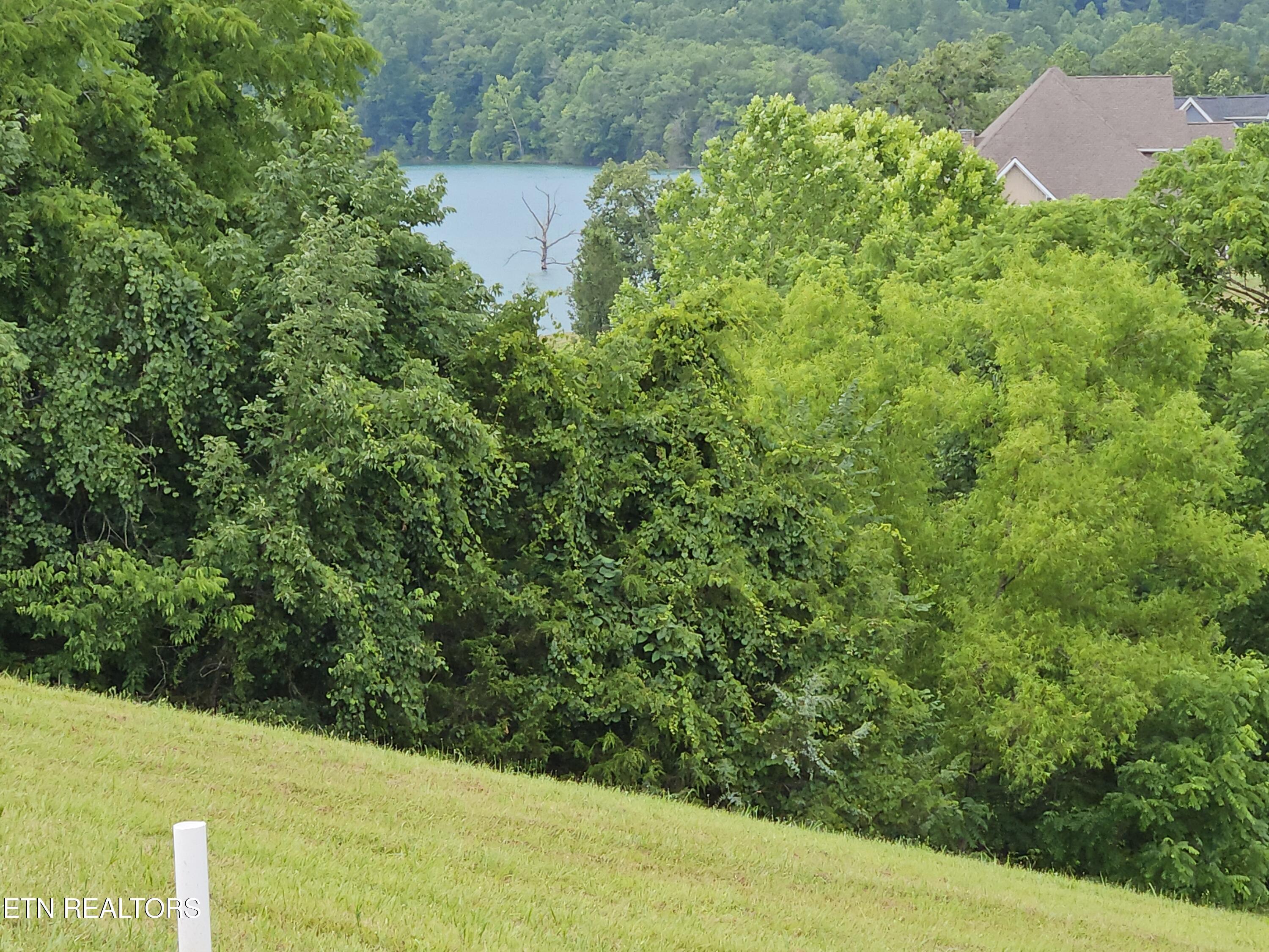 Norris Lake Real Estate - Image# 5