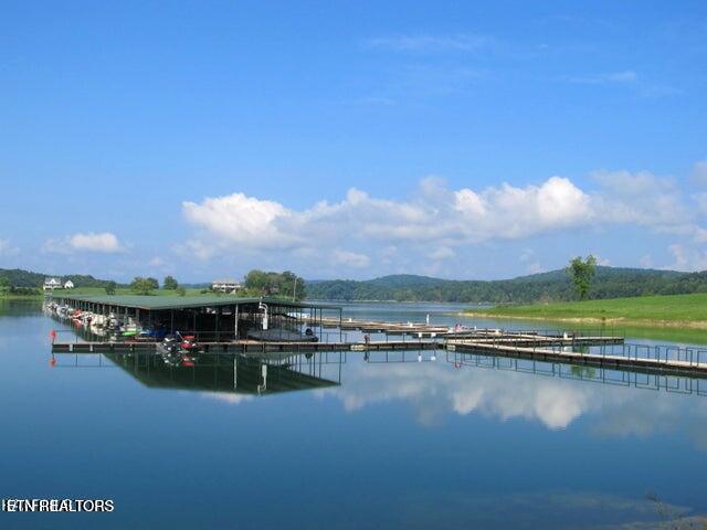 Norris Lake Real Estate - Image# 11