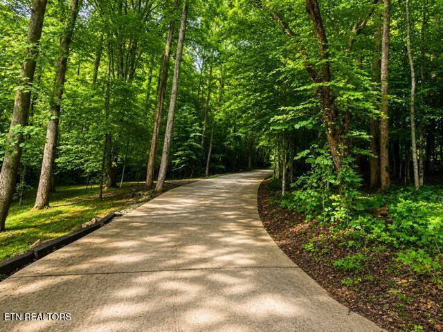 353 Beech Grove Loop, Sharps Chapel, TN - Norris Lake Real Estate - Image# 7
