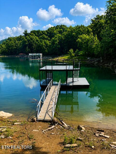 353 Beech Grove Loop, Sharps Chapel, TN - Norris Lake Real Estate - Image# 10
