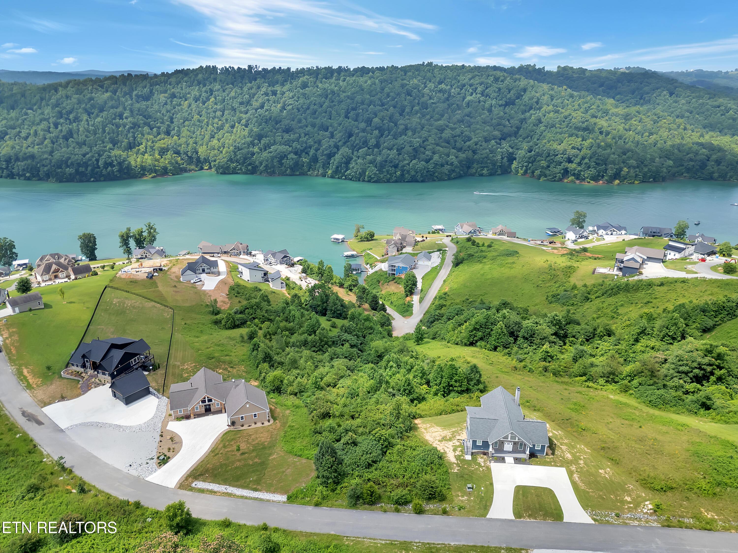 Norris Lake Real Estate - Image# 5