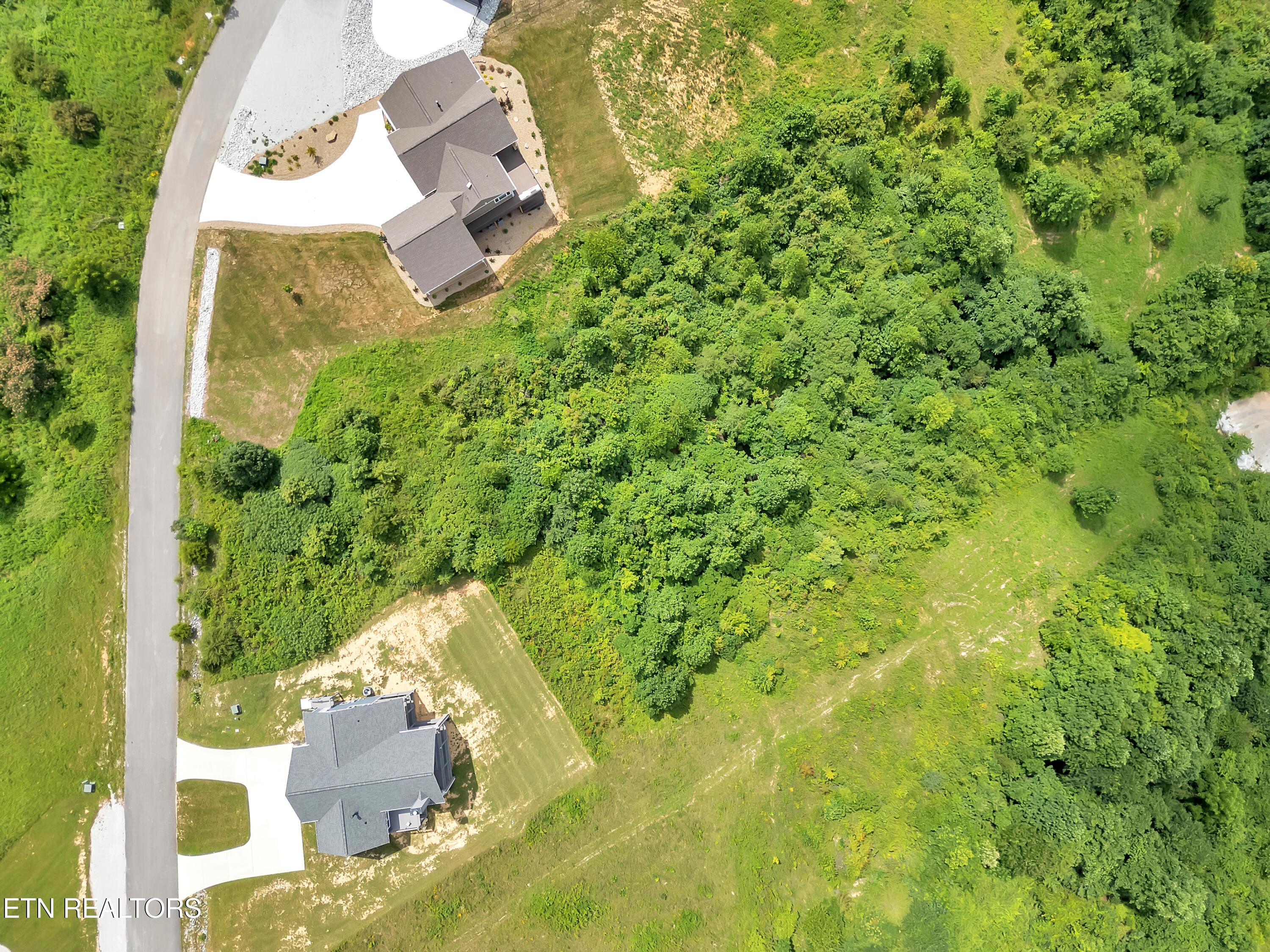 Norris Lake Real Estate - Image# 14