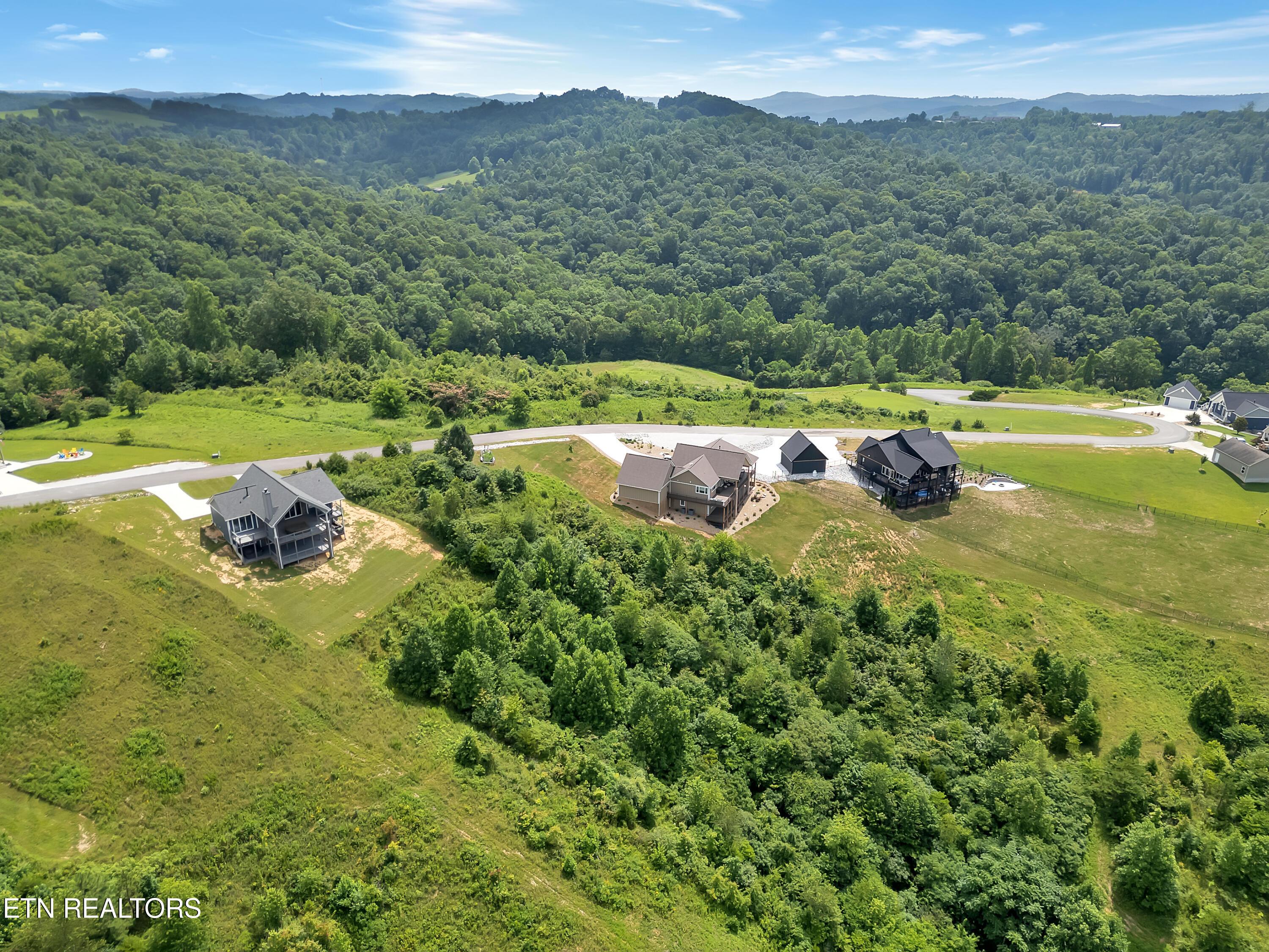 Norris Lake Real Estate - Image# 13