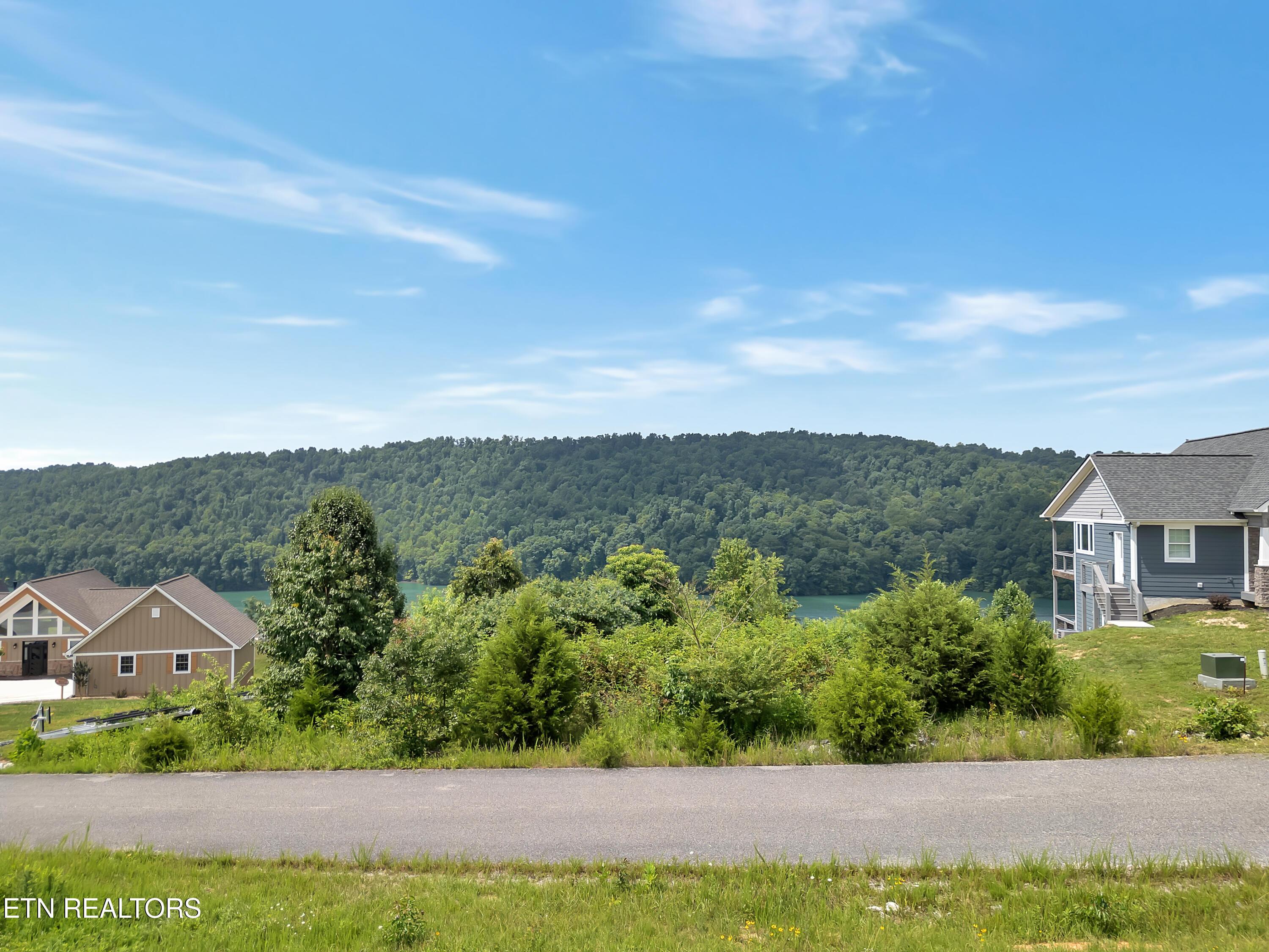 Norris Lake Real Estate - Image# 10