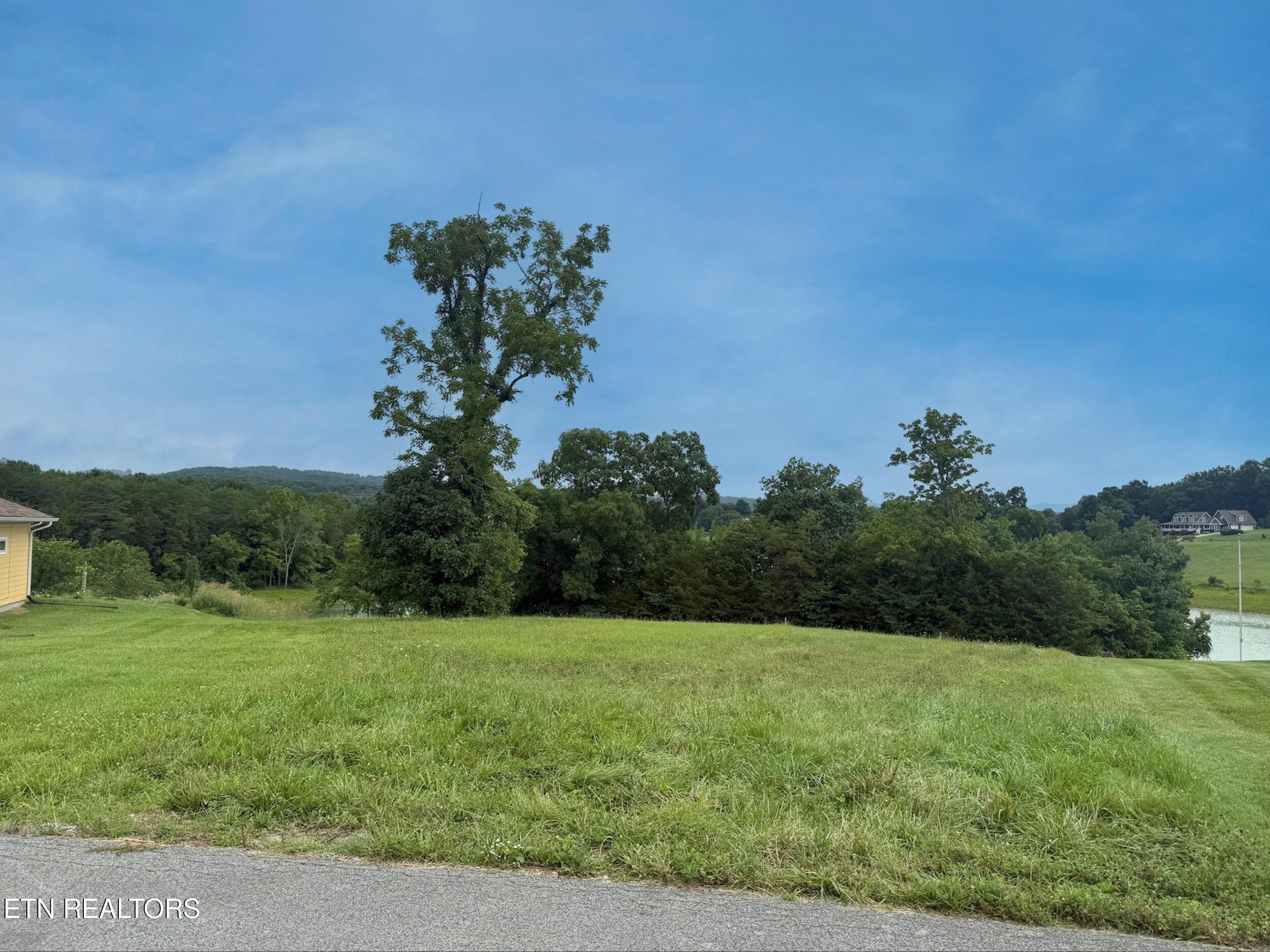 Norris Lake Real Estate - Image# 2