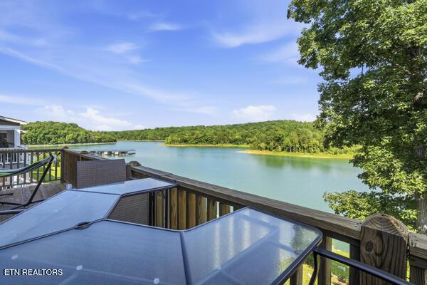 171 Twilight Blvd, Sharps Chapel, TN - Norris Lake Real Estate - Image# 7