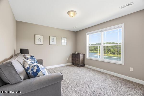 171 Twilight Blvd, Sharps Chapel, TN - Norris Lake Real Estate - Image# 11