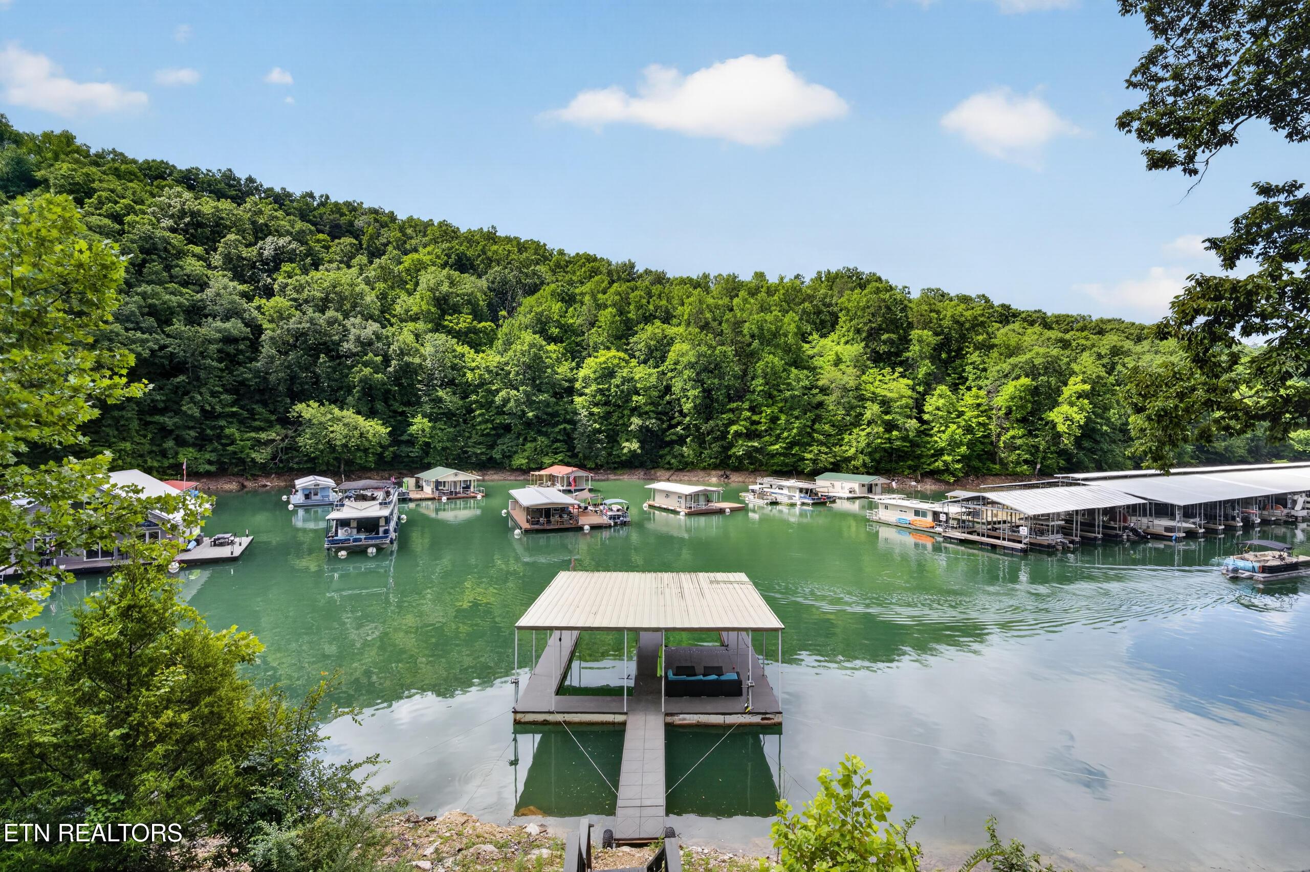 810 Indian River Boat Dock Rd, Jacksboro, TN - Norris Lake Real Estate - Image# 49