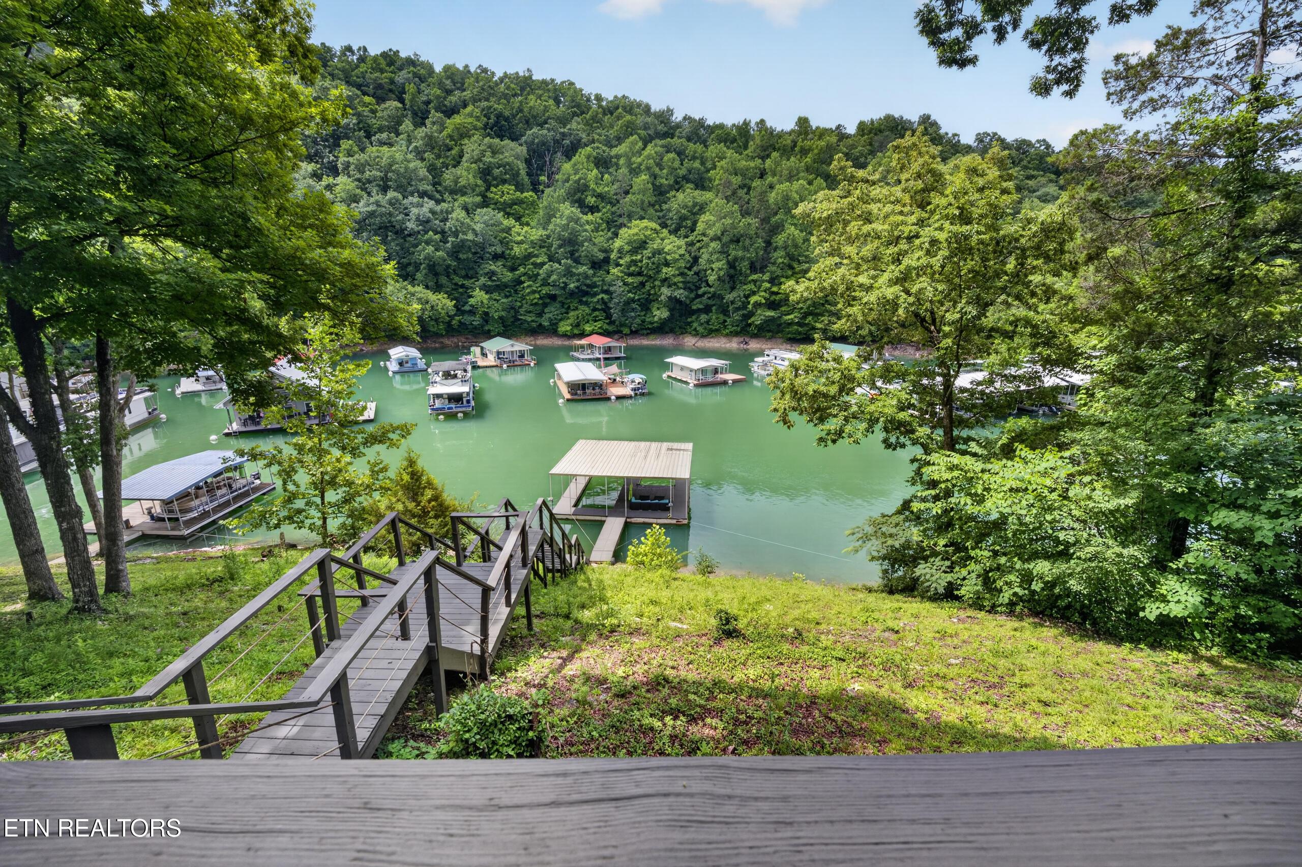 810 Indian River Boat Dock Rd, Jacksboro, TN - Norris Lake Real Estate - Image# 48