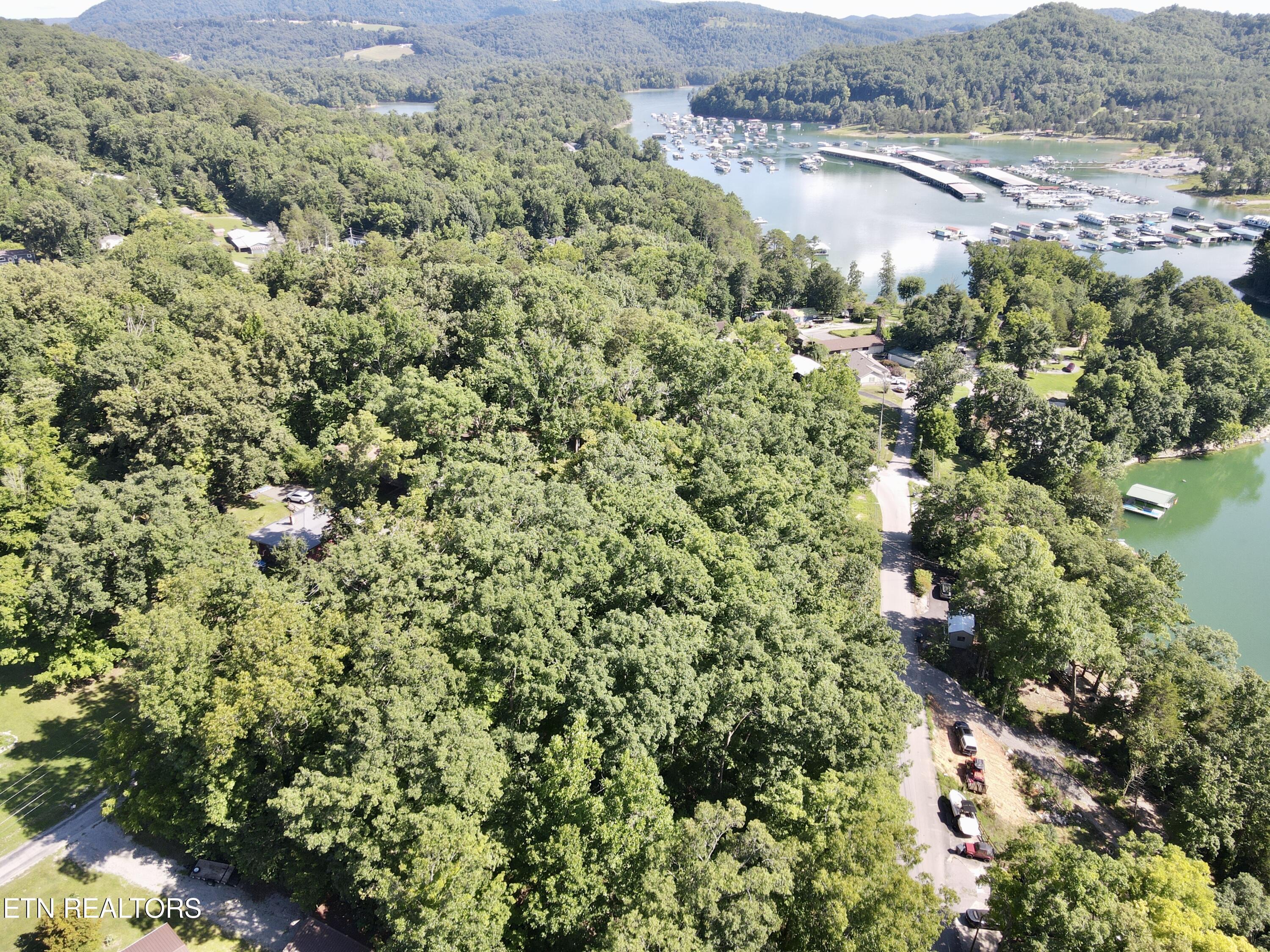 Cape Norris Rd, New Tazewell, TN - Norris Lake Real Estate - Image# 1