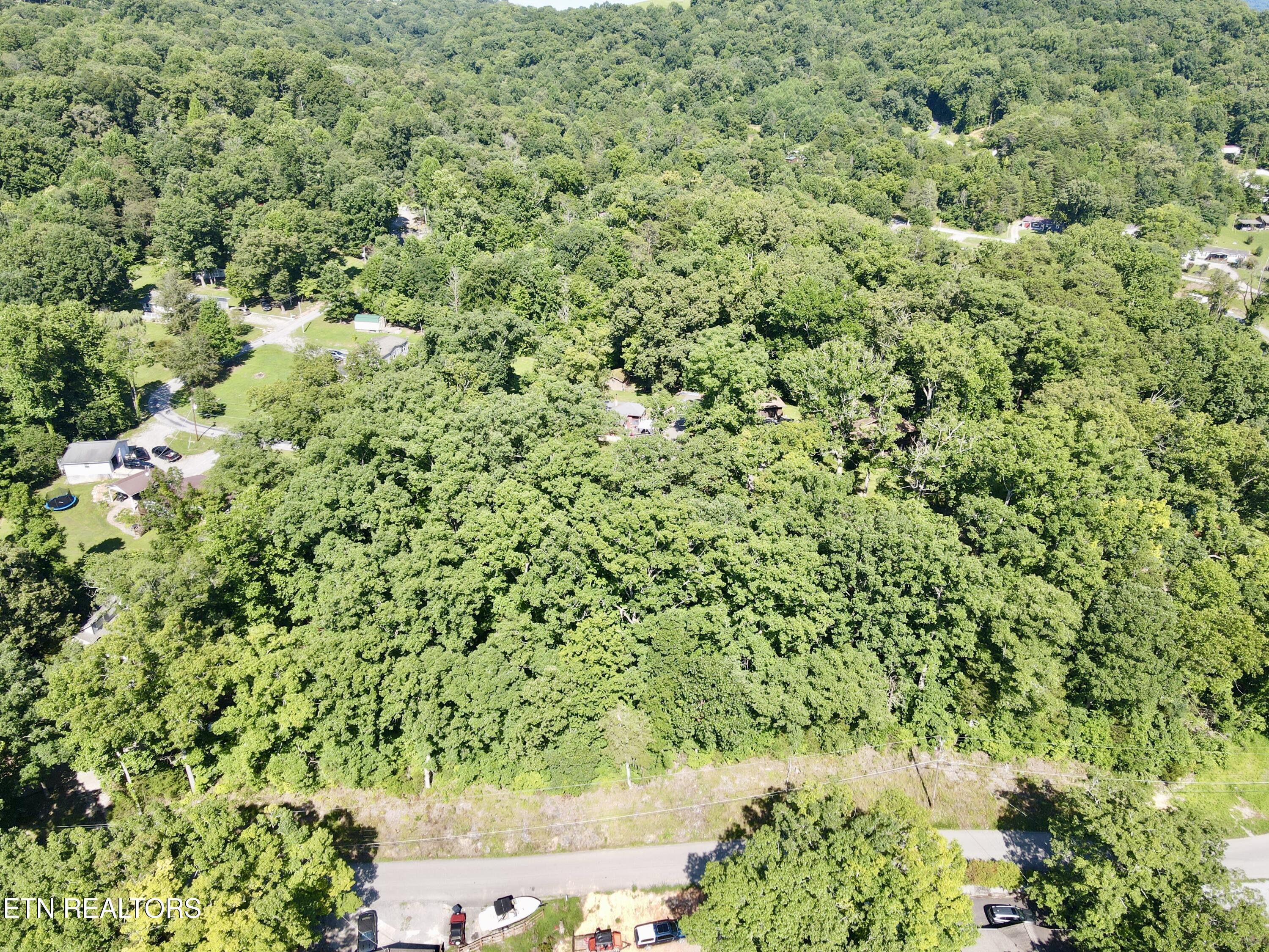 Cape Norris Rd, New Tazewell, TN - Norris Lake Real Estate - Image# 2