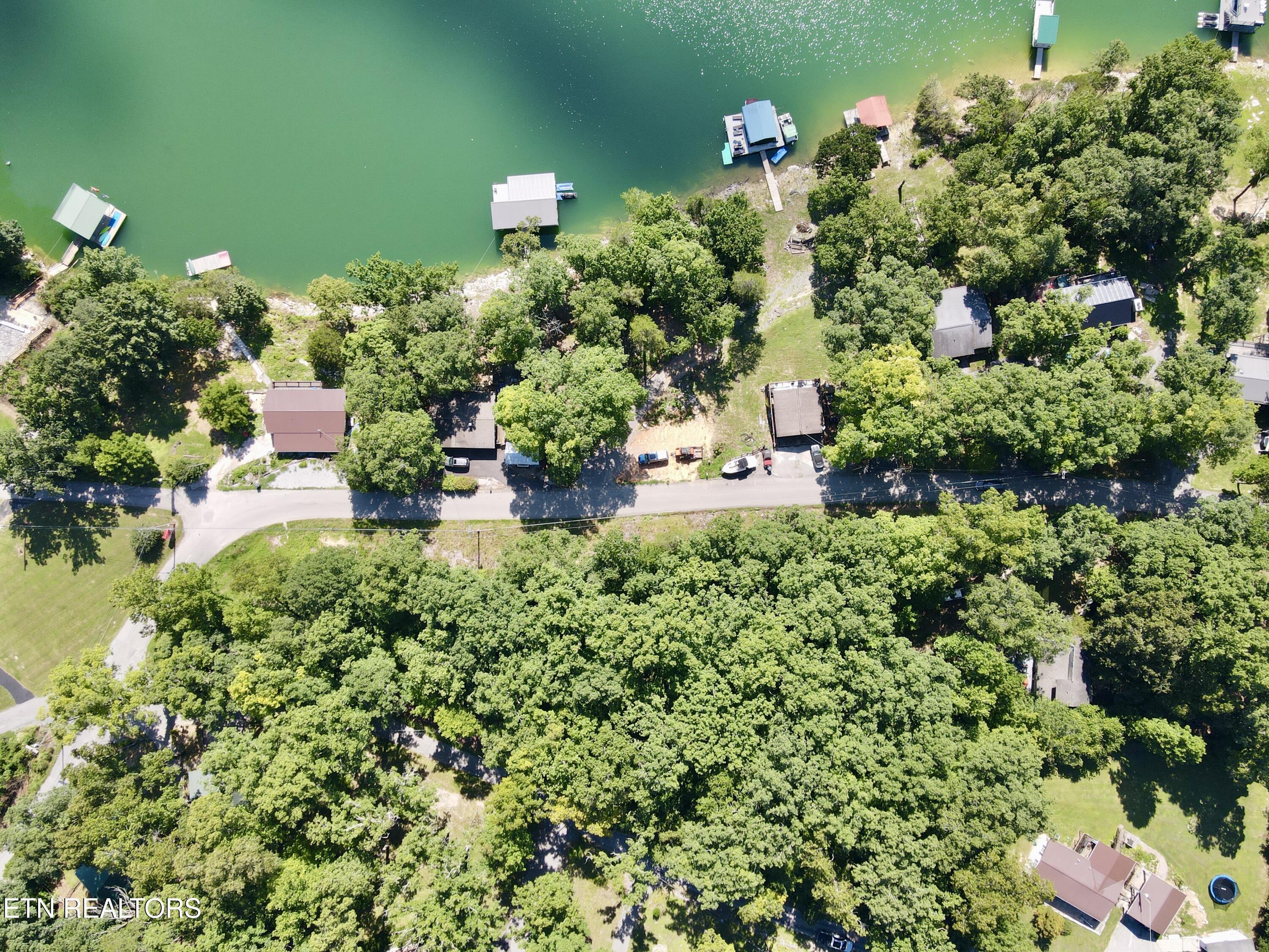 Cape Norris Rd, New Tazewell, TN - Norris Lake Real Estate - Image# 3