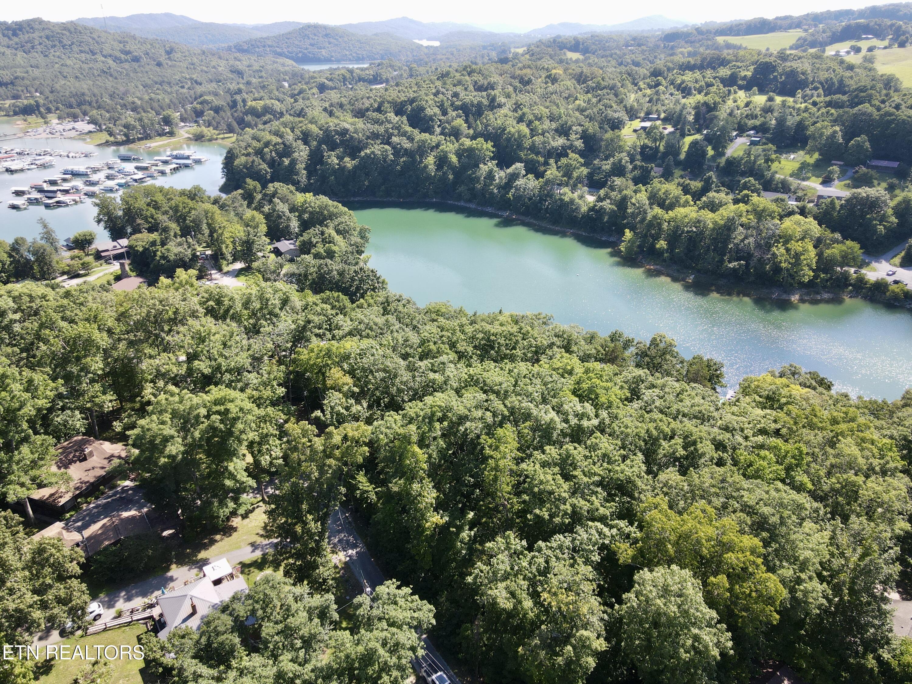 Cape Norris Rd, New Tazewell, TN - Norris Lake Real Estate - Image# 4