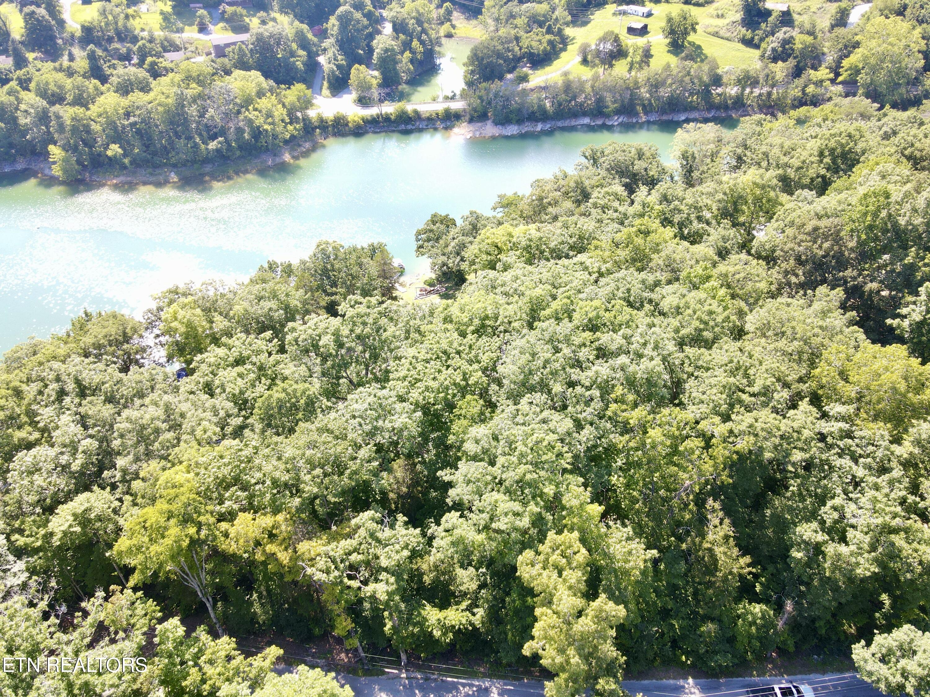 Cape Norris Rd, New Tazewell, TN - Norris Lake Real Estate - Image# 5