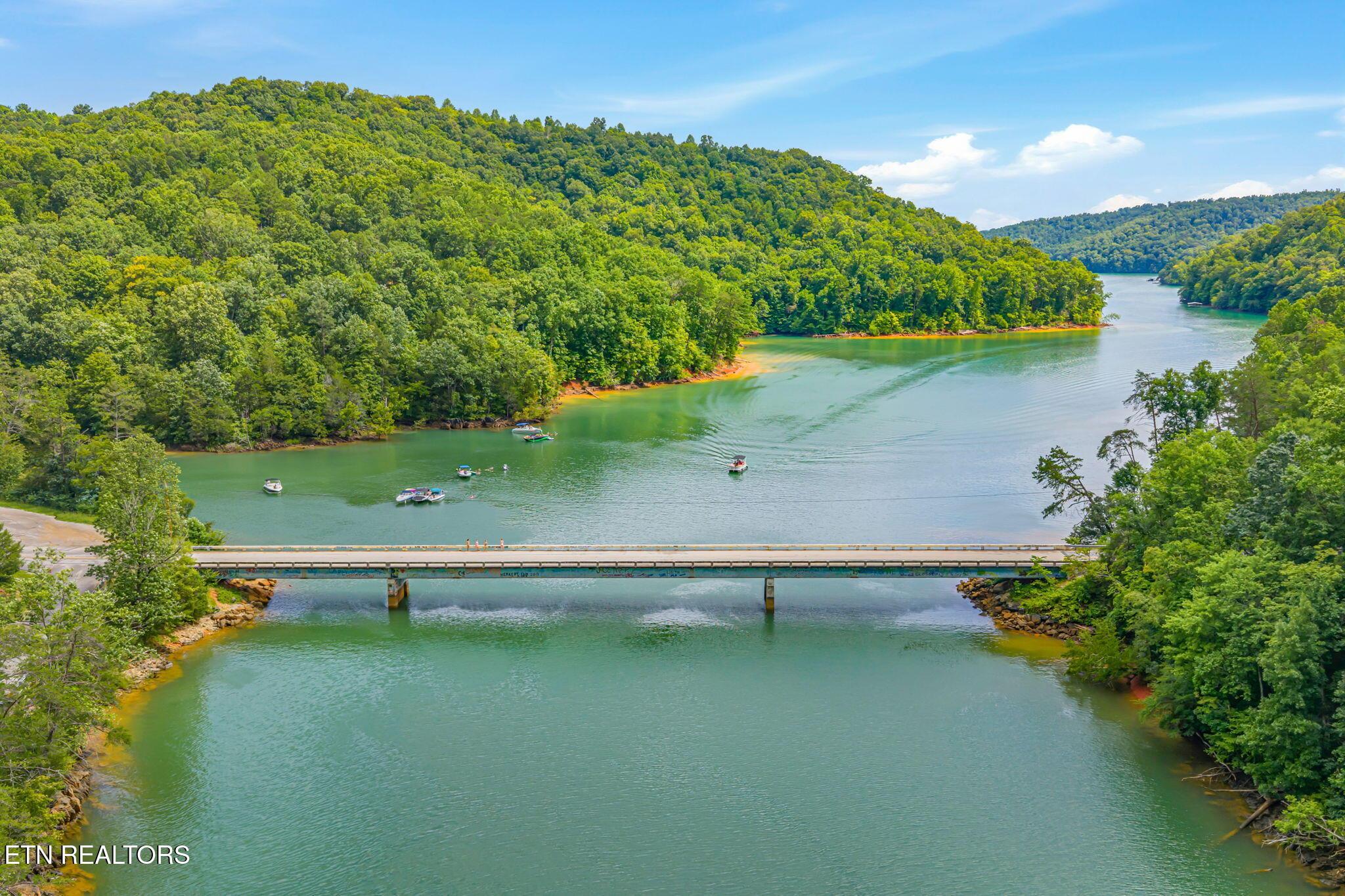 Norris Lake Real Estate - Image# 7