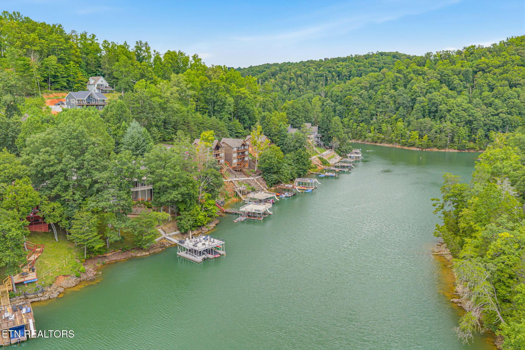 Norris Lake Real Estate - Image# 8