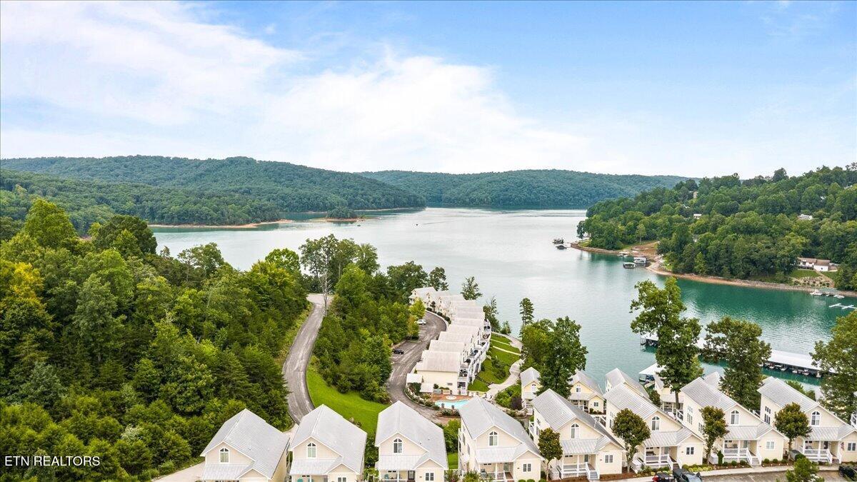 Norris Lake Real Estate - Image# 3
