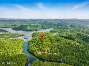 Tr3 Mountain Shores Rd, Tazewell, TN - Norris Lake Real Estate - Image# 6