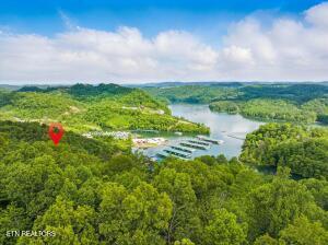 Tr3 Mountain Shores Rd, Tazewell, TN - Norris Lake Real Estate - Image# 13