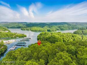 Tr3 Mountain Shores Rd, Tazewell, TN - Norris Lake Real Estate - Image# 14