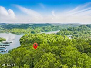Tr3 Mountain Shores Rd, Tazewell, TN - Norris Lake Real Estate - Image# 15