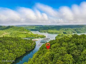 Tr3 Mountain Shores Rd, Tazewell, TN - Norris Lake Real Estate - Image# 16
