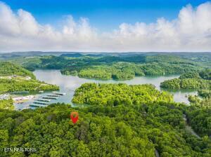 Tr3 Mountain Shores Rd, Tazewell, TN - Norris Lake Real Estate - Image# 17