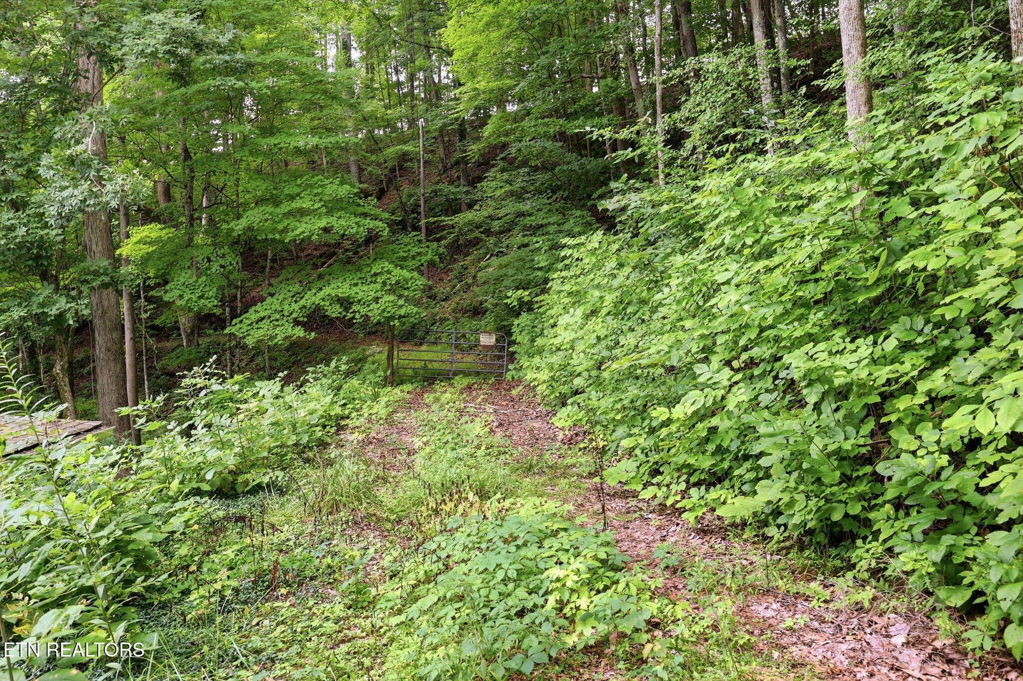 Edwards Rd, Maynardville, TN - Norris Lake Real Estate - Image# 22