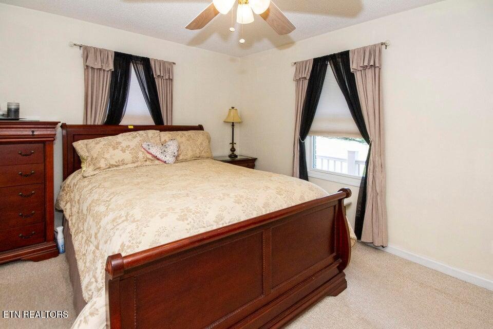 Norris Lake Real Estate - Image# 48