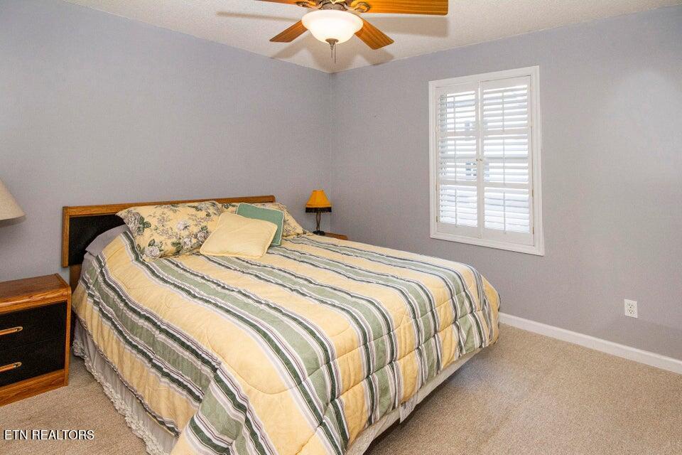 Norris Lake Real Estate - Image# 52