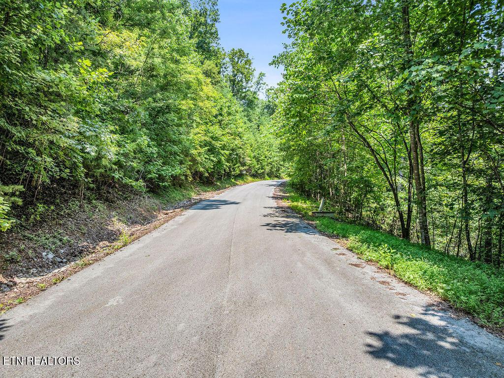 Lot 453 Silver Trl, New Tazewell, TN - Norris Lake Real Estate - Image# 1