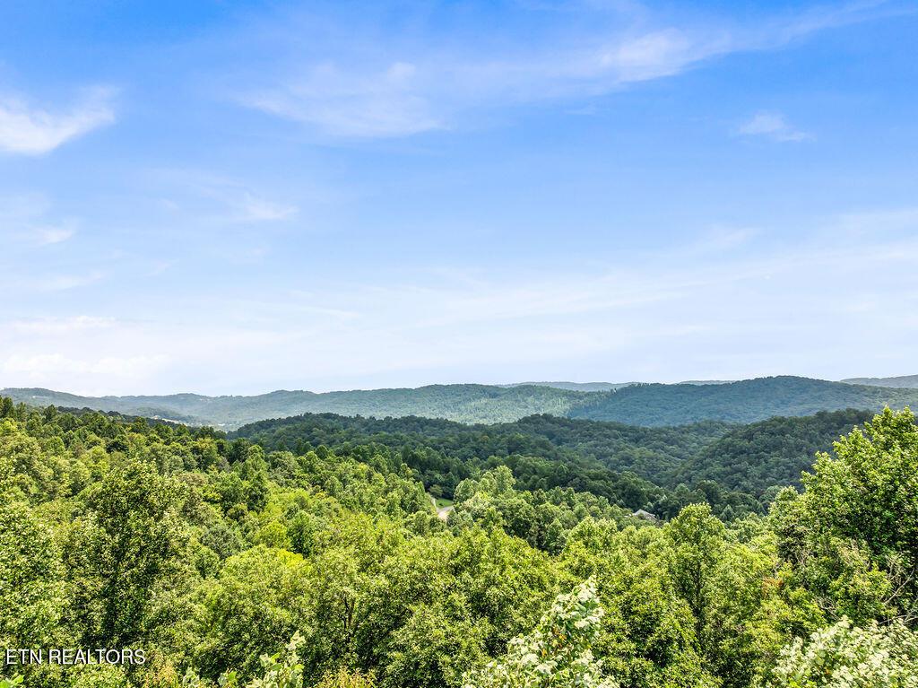 Lot 453 Silver Trl, New Tazewell, TN - Norris Lake Real Estate - Image# 2