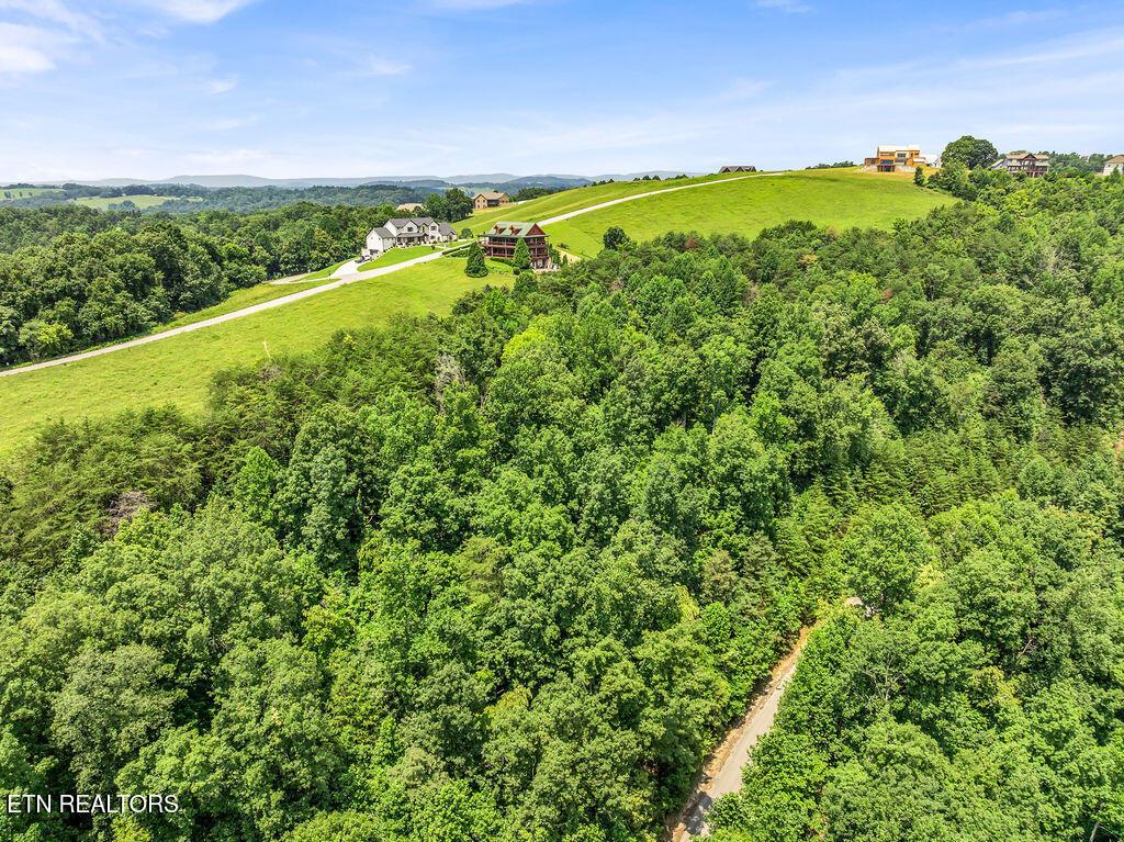 Lot 453 Silver Trl, New Tazewell, TN - Norris Lake Real Estate - Image# 3