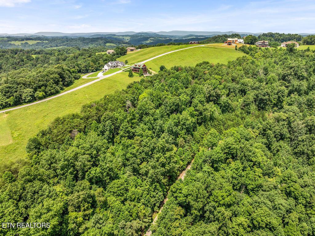 Lot 453 Silver Trl, New Tazewell, TN - Norris Lake Real Estate - Image# 4