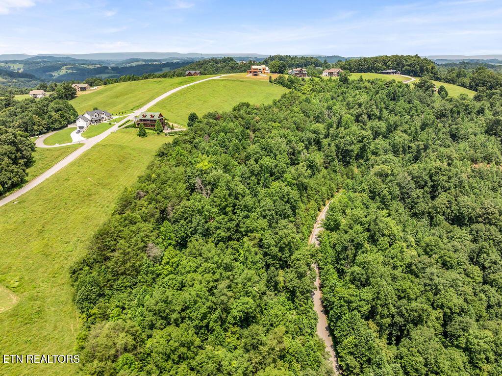 Lot 453 Silver Trl, New Tazewell, TN - Norris Lake Real Estate - Image# 5